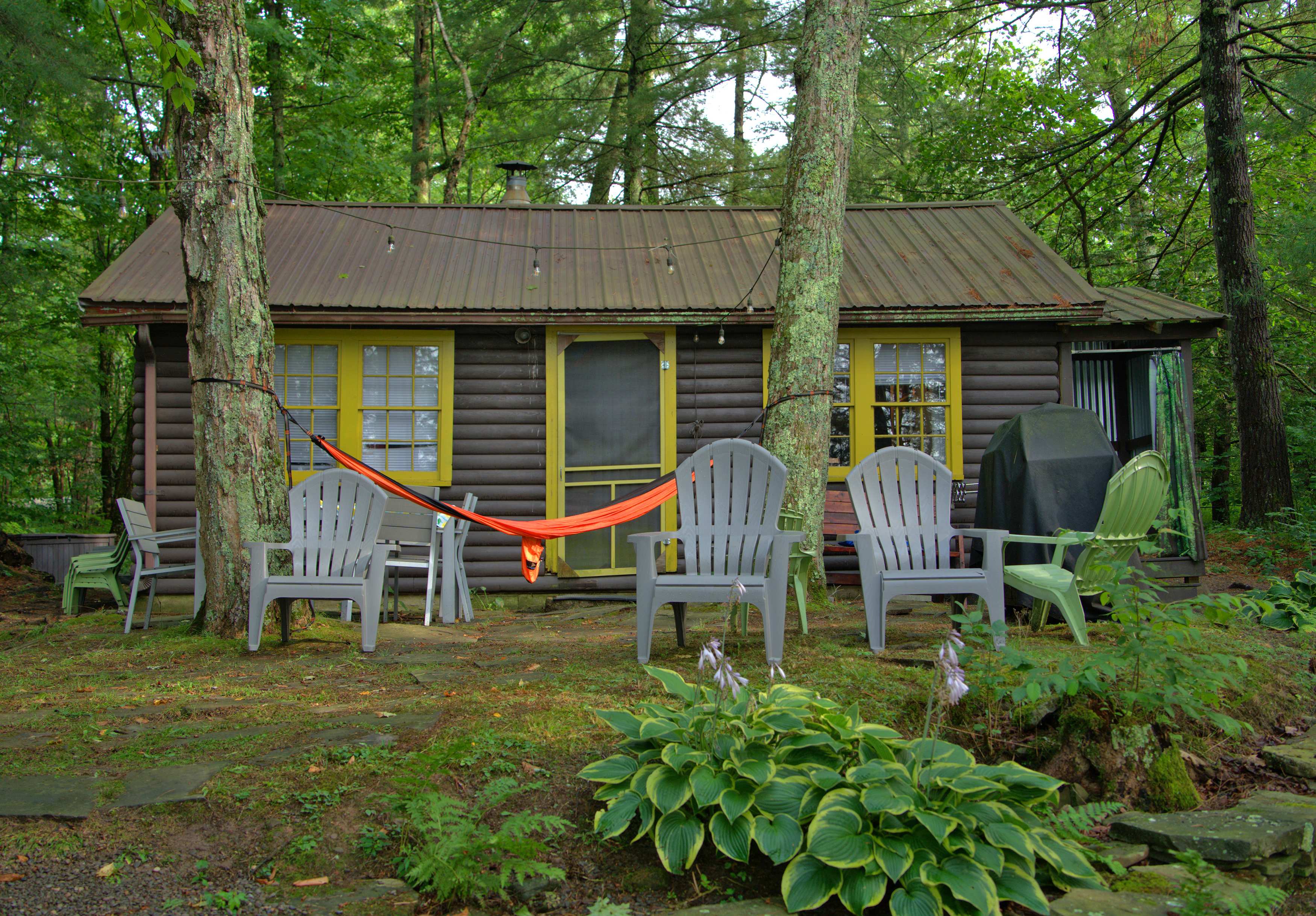 Back area