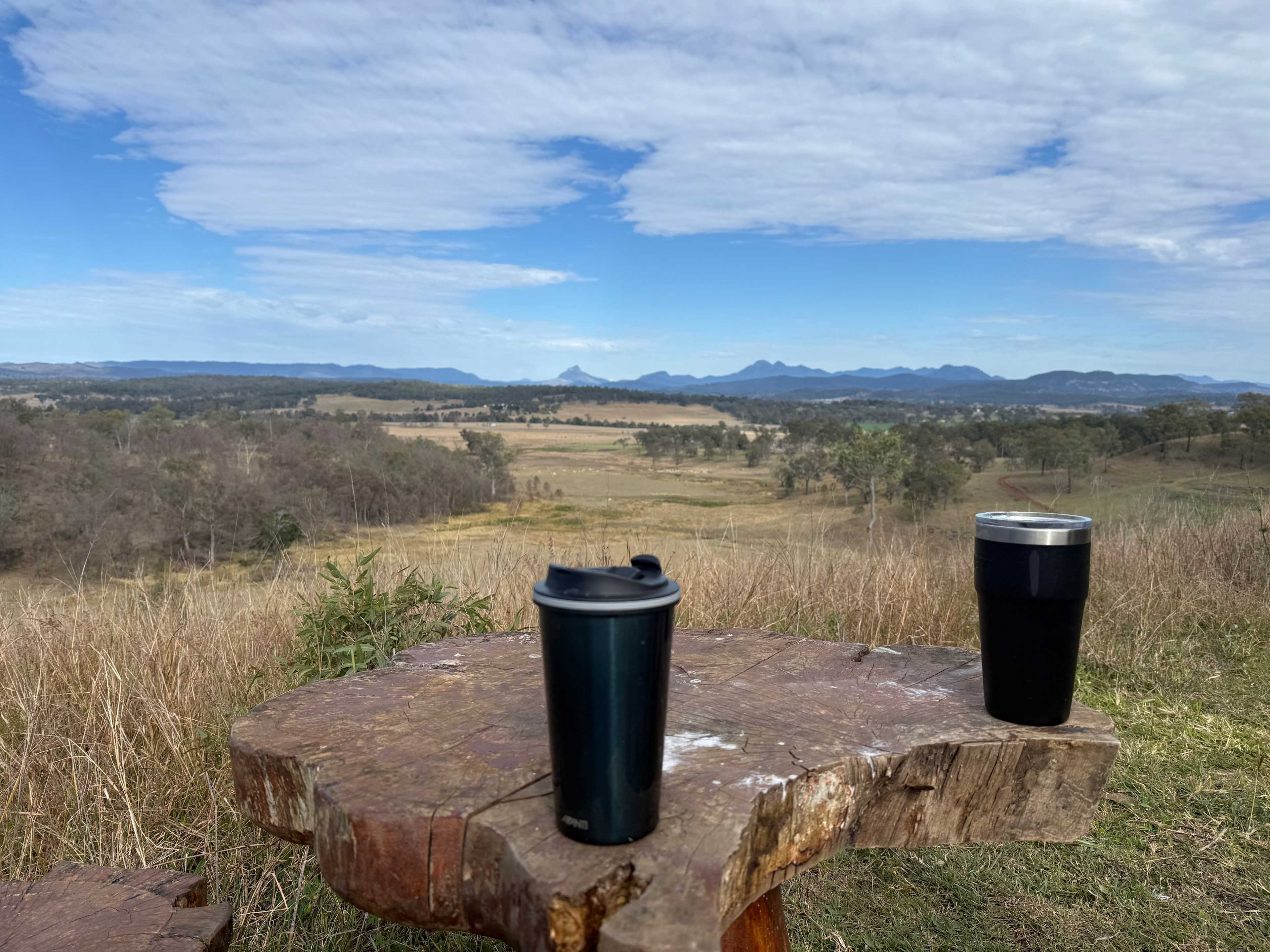 Larapinta