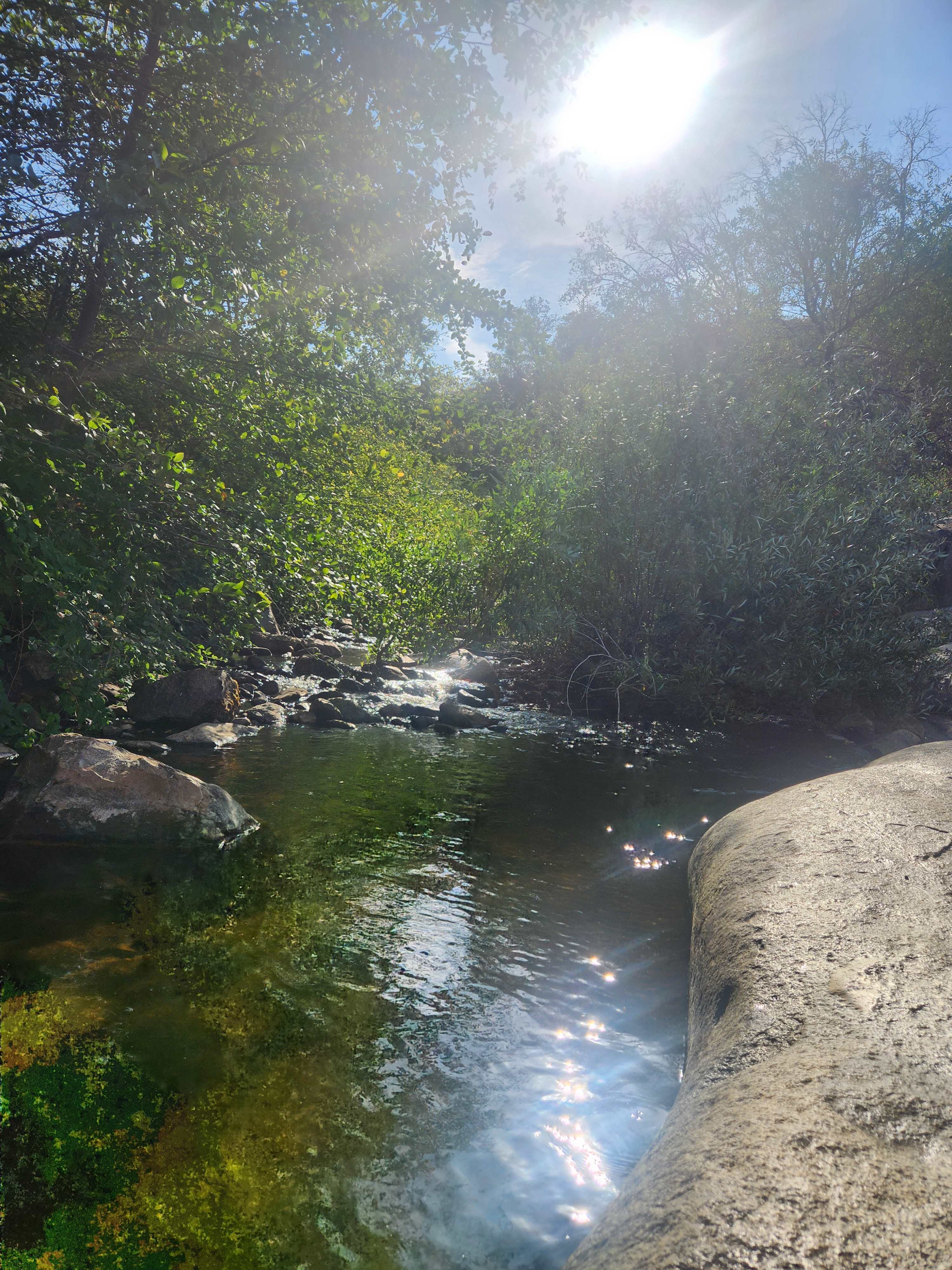 Stream behind the camp sites