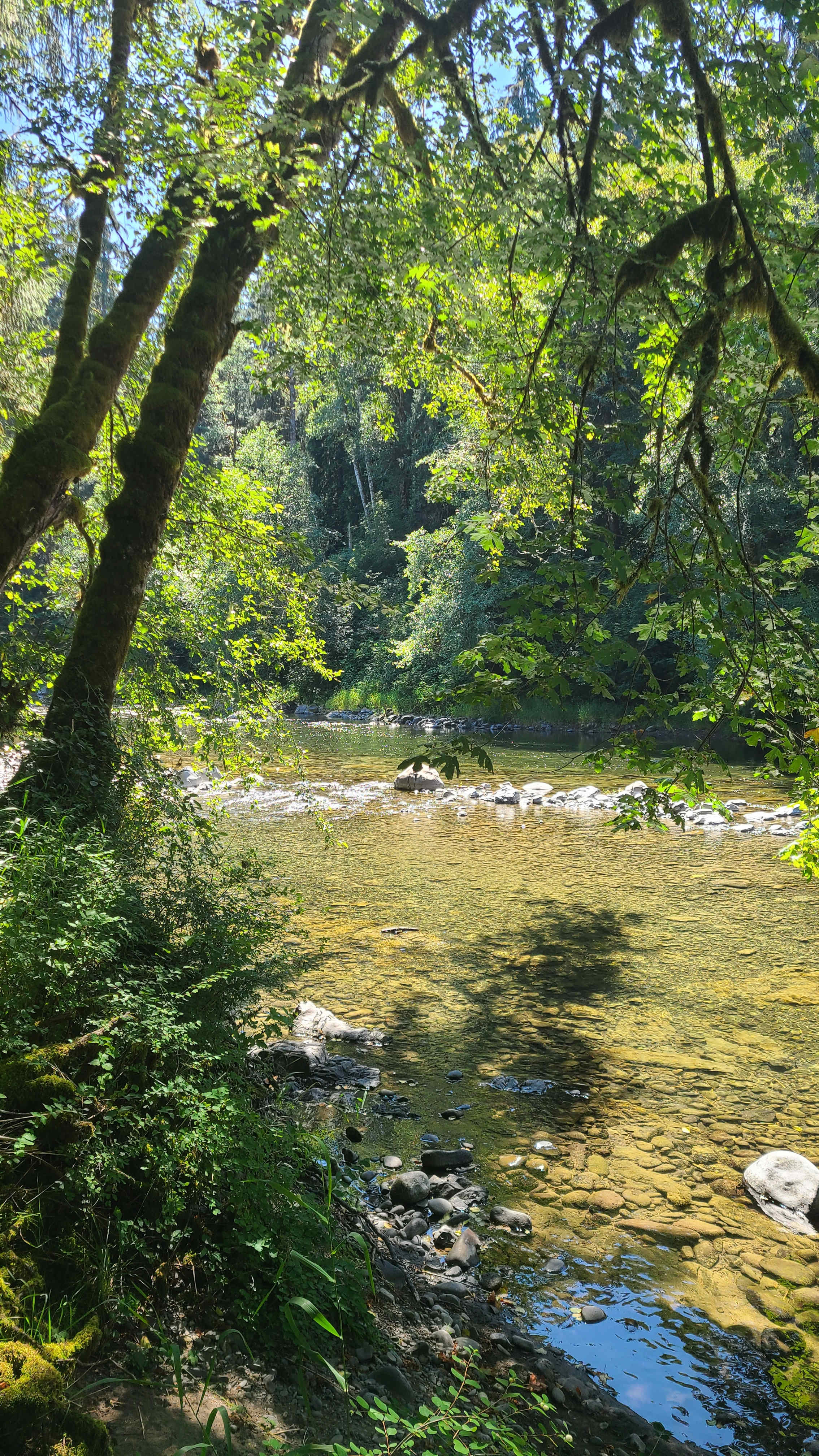 Sol Duc Waterfront