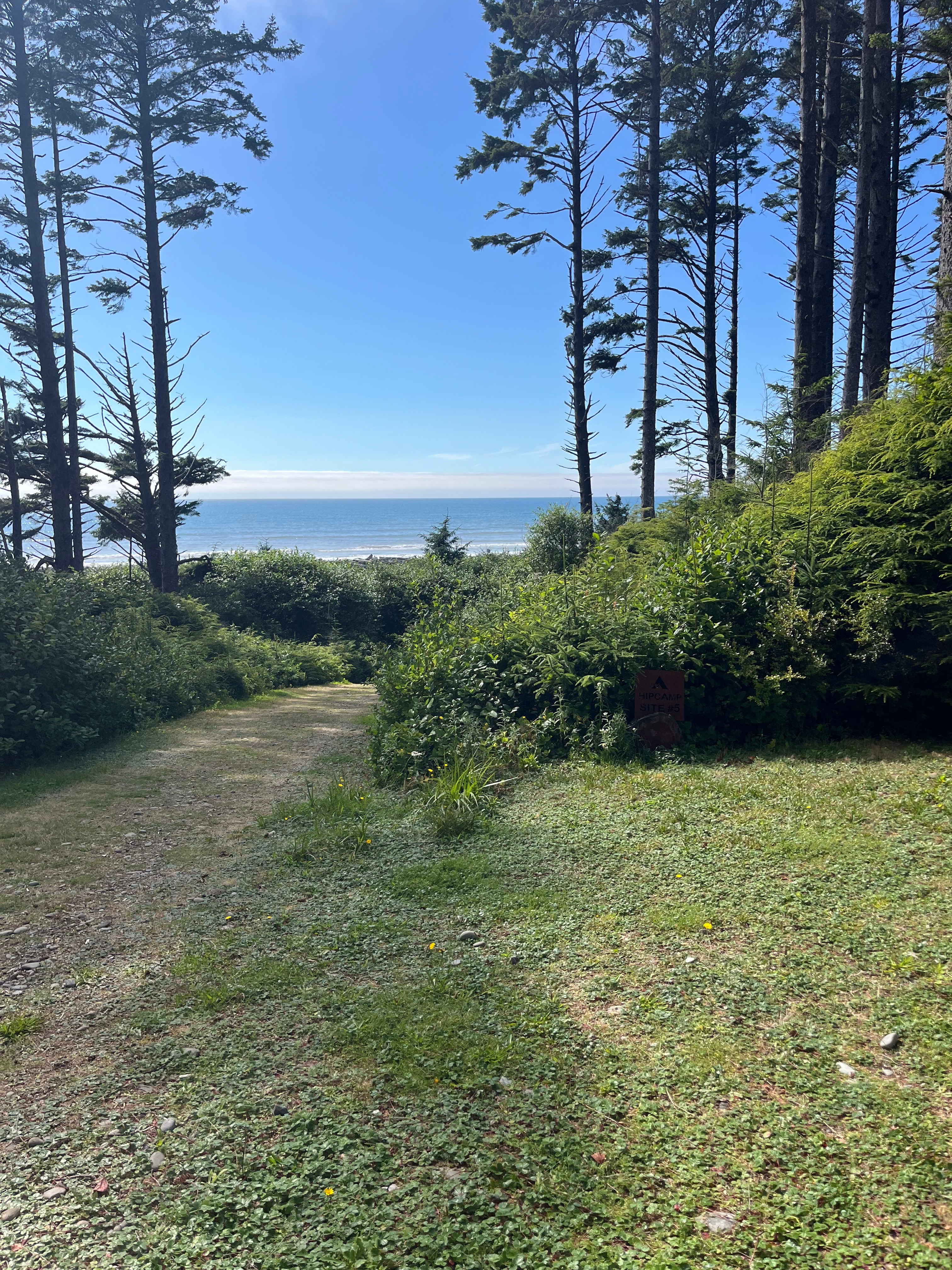 Trail to beach and edge of site 5