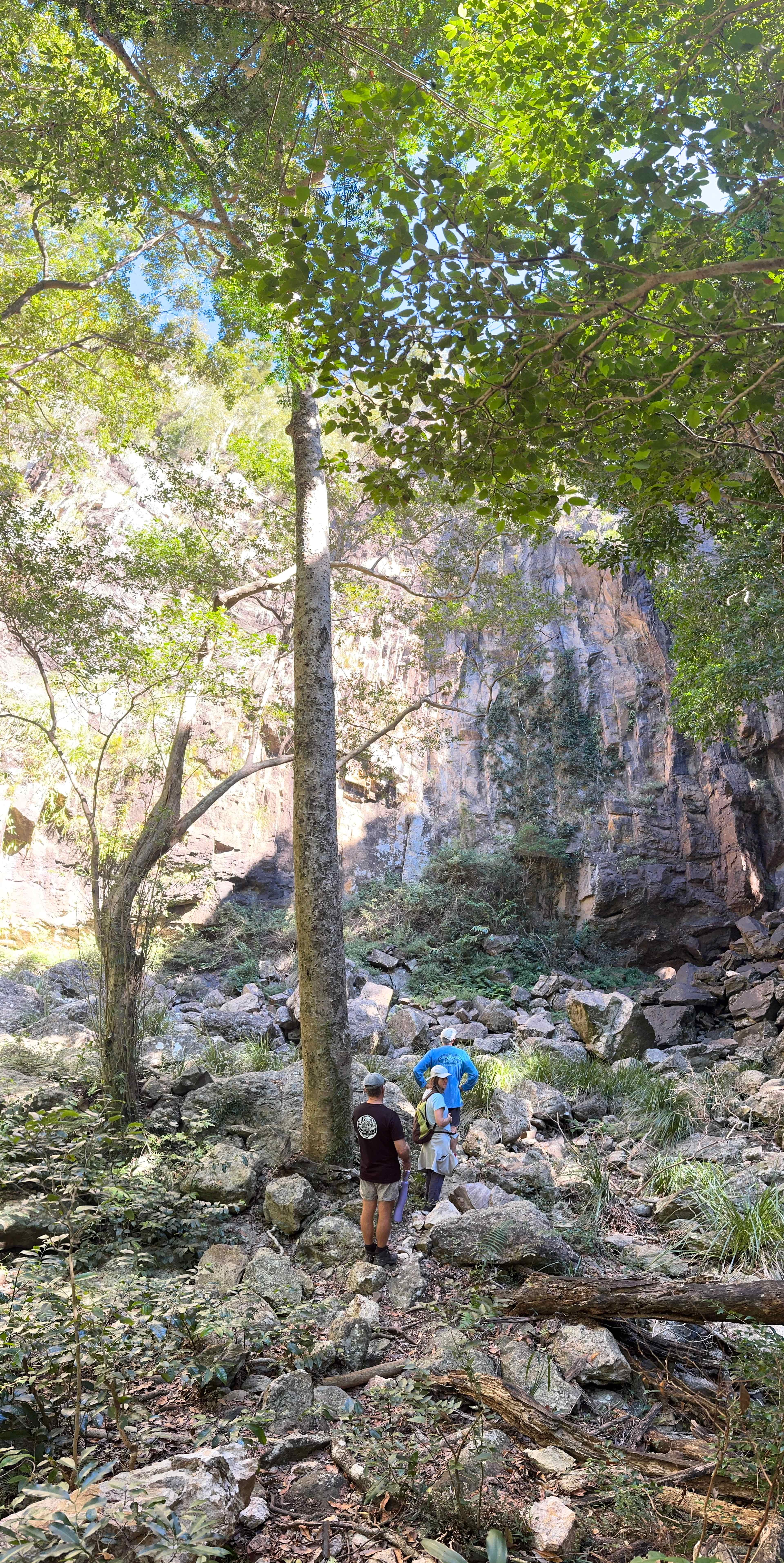 Hopevale Adventure Camping