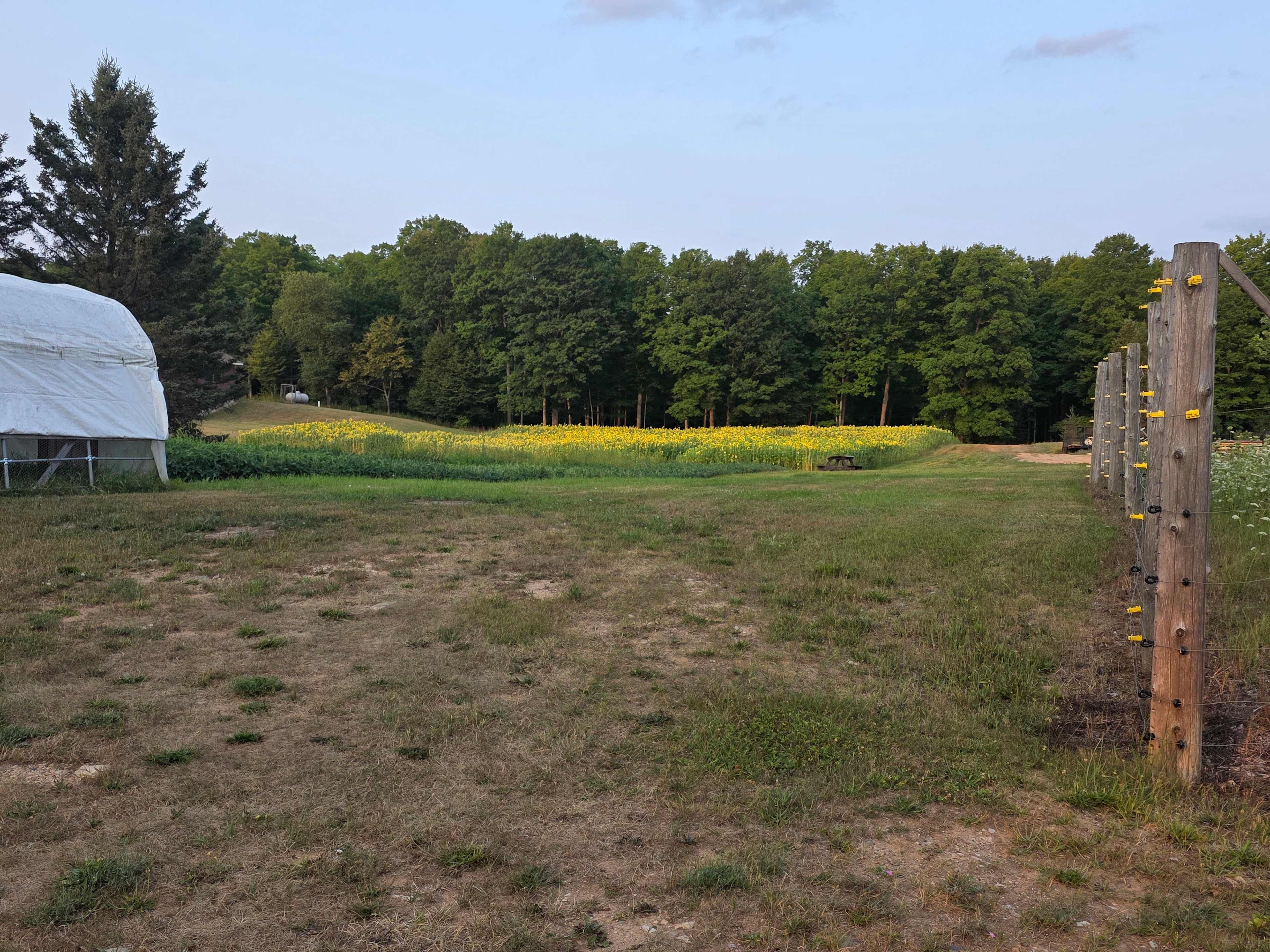 Maple Creek Farm