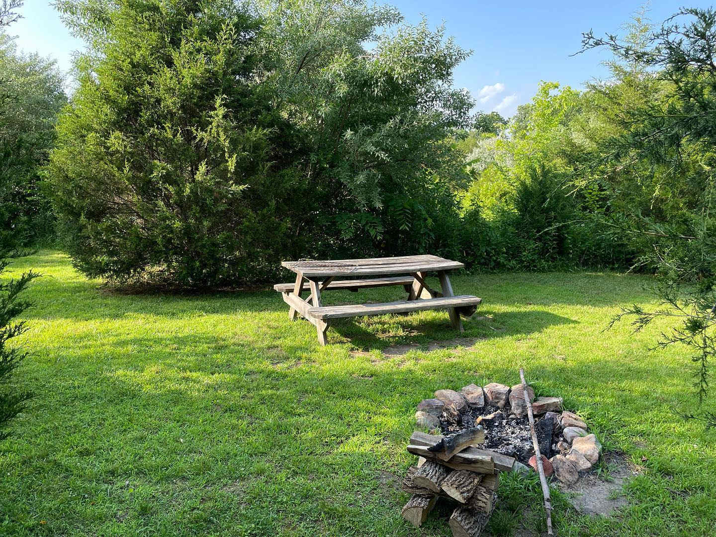 Picture of the site