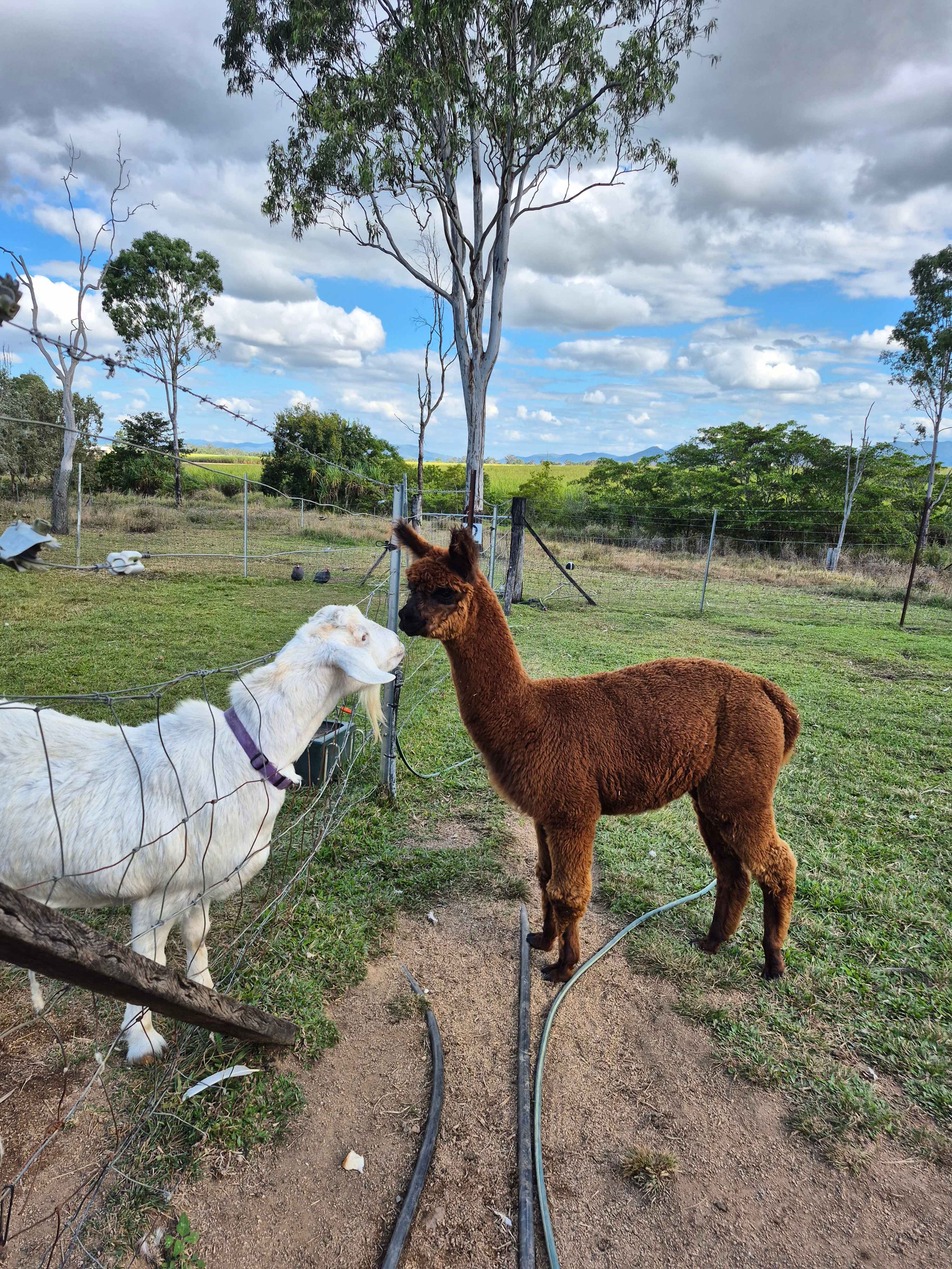 Jarravale Farm Stay