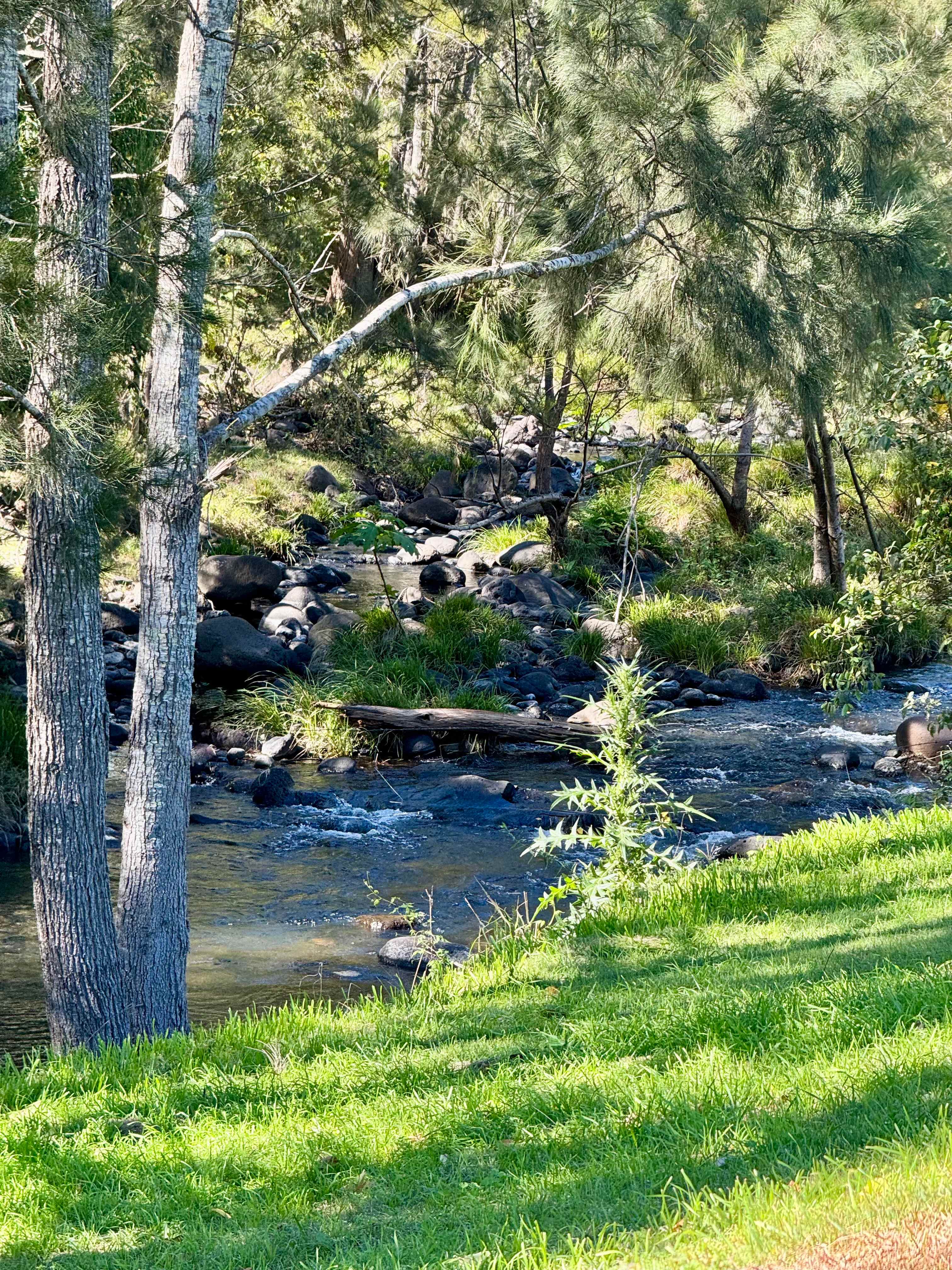 Christmas Creek Bush Retreat