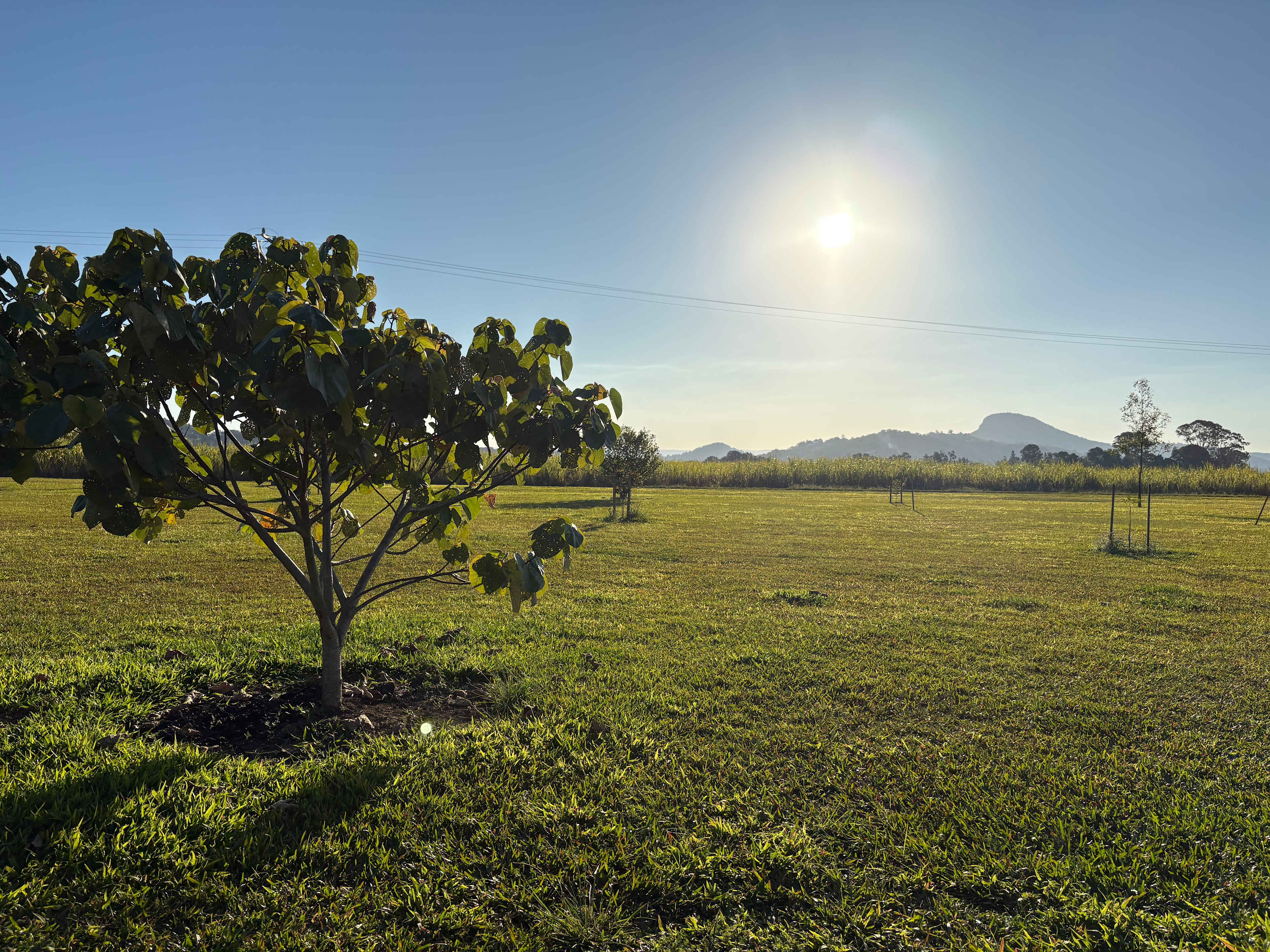 Riverside Farm