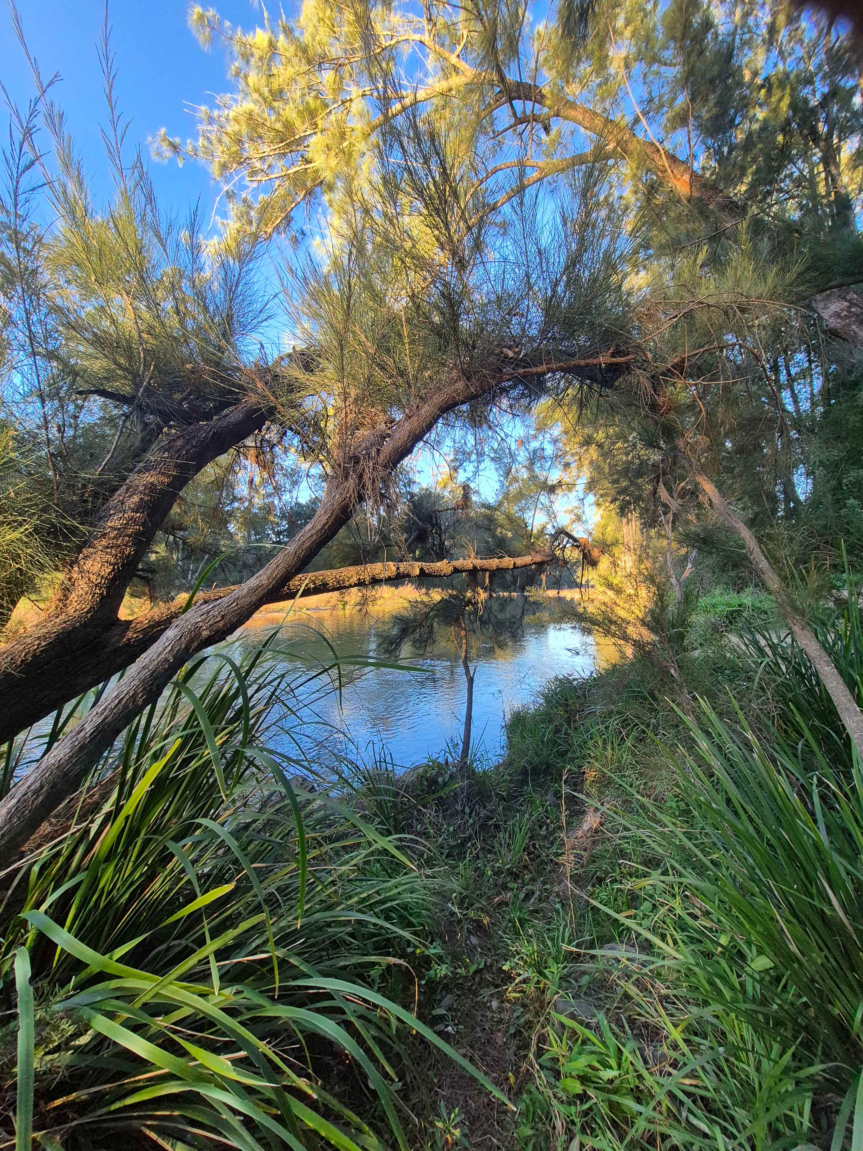 Bundilla River Camp