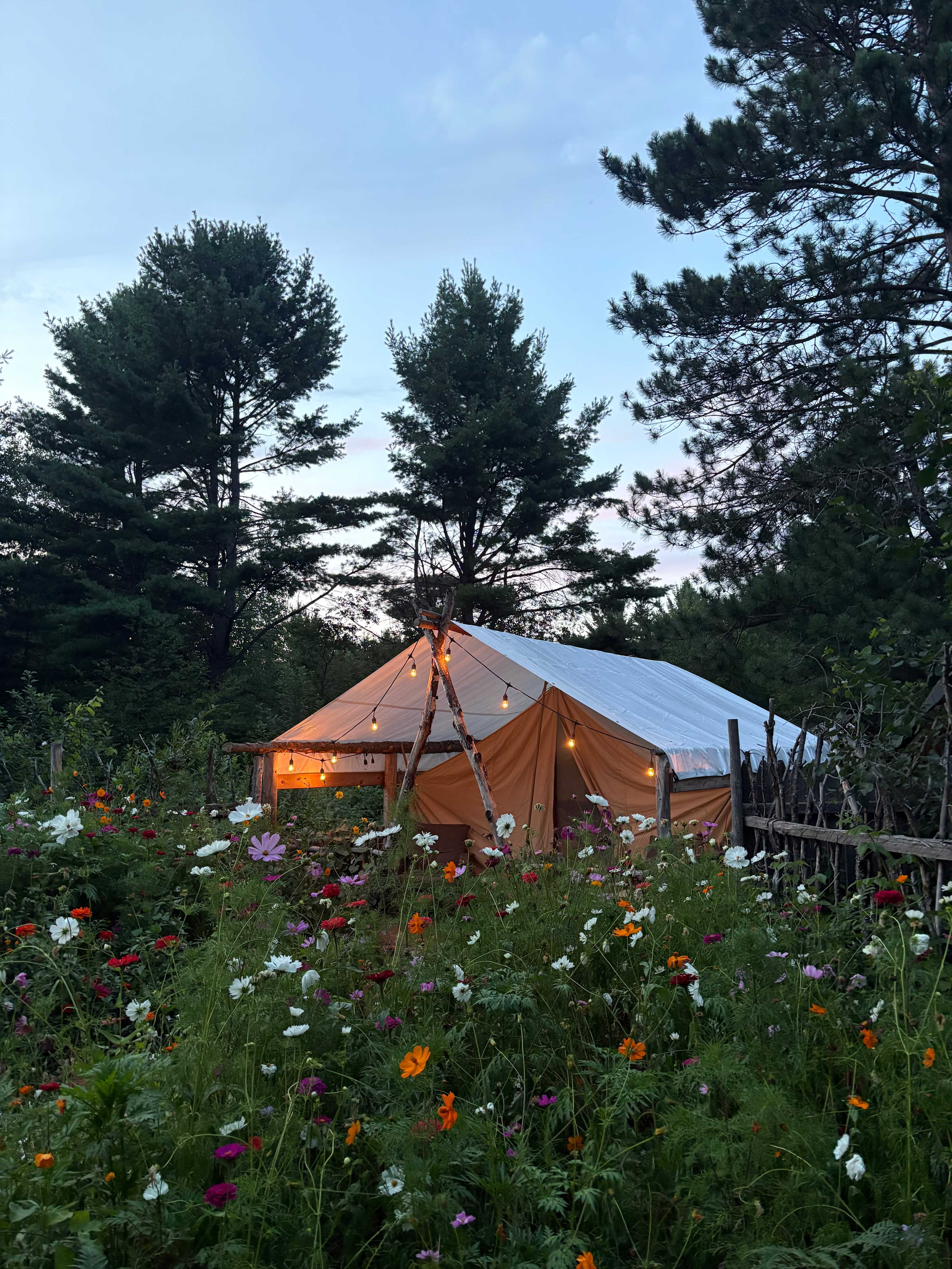 Stoney Moose BnB