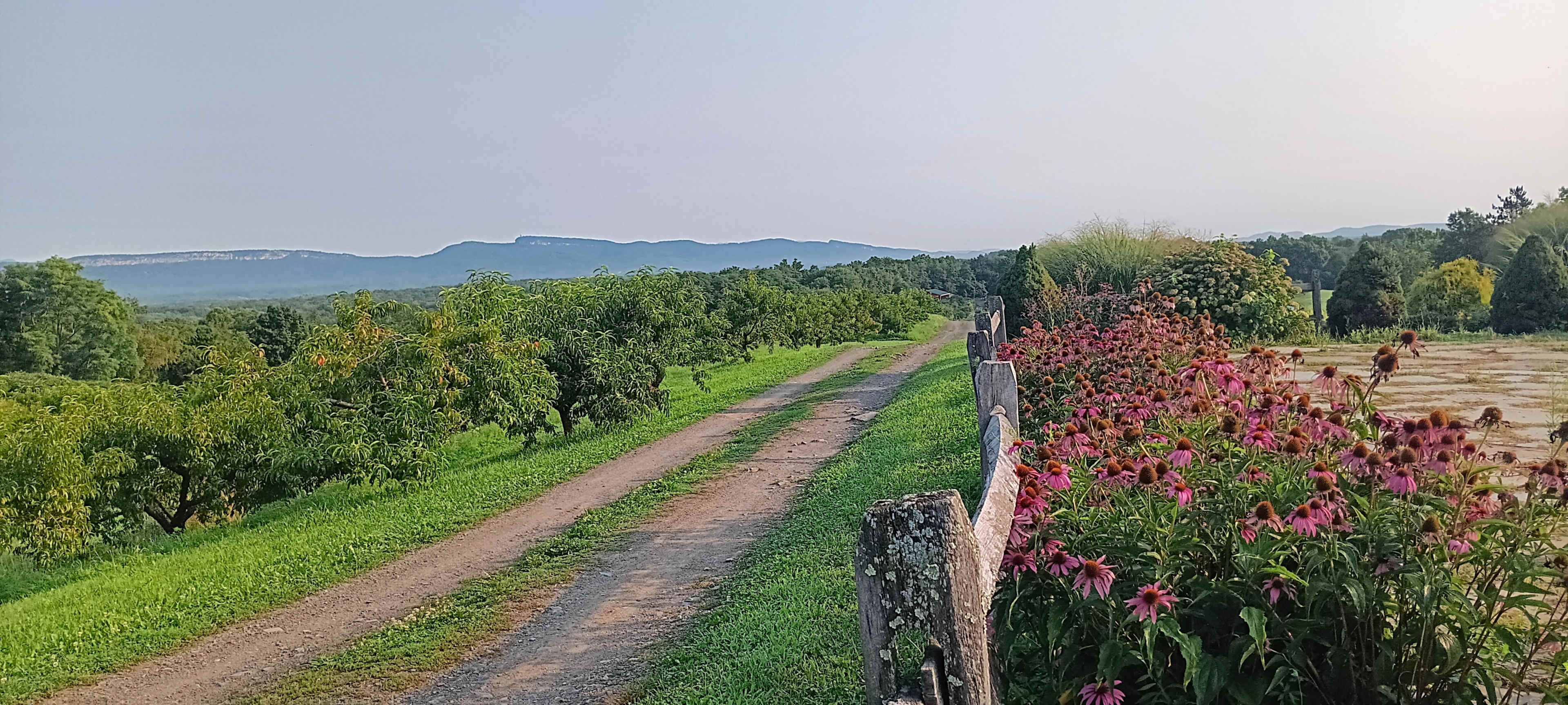 The Mountain Top @Wright's Farm