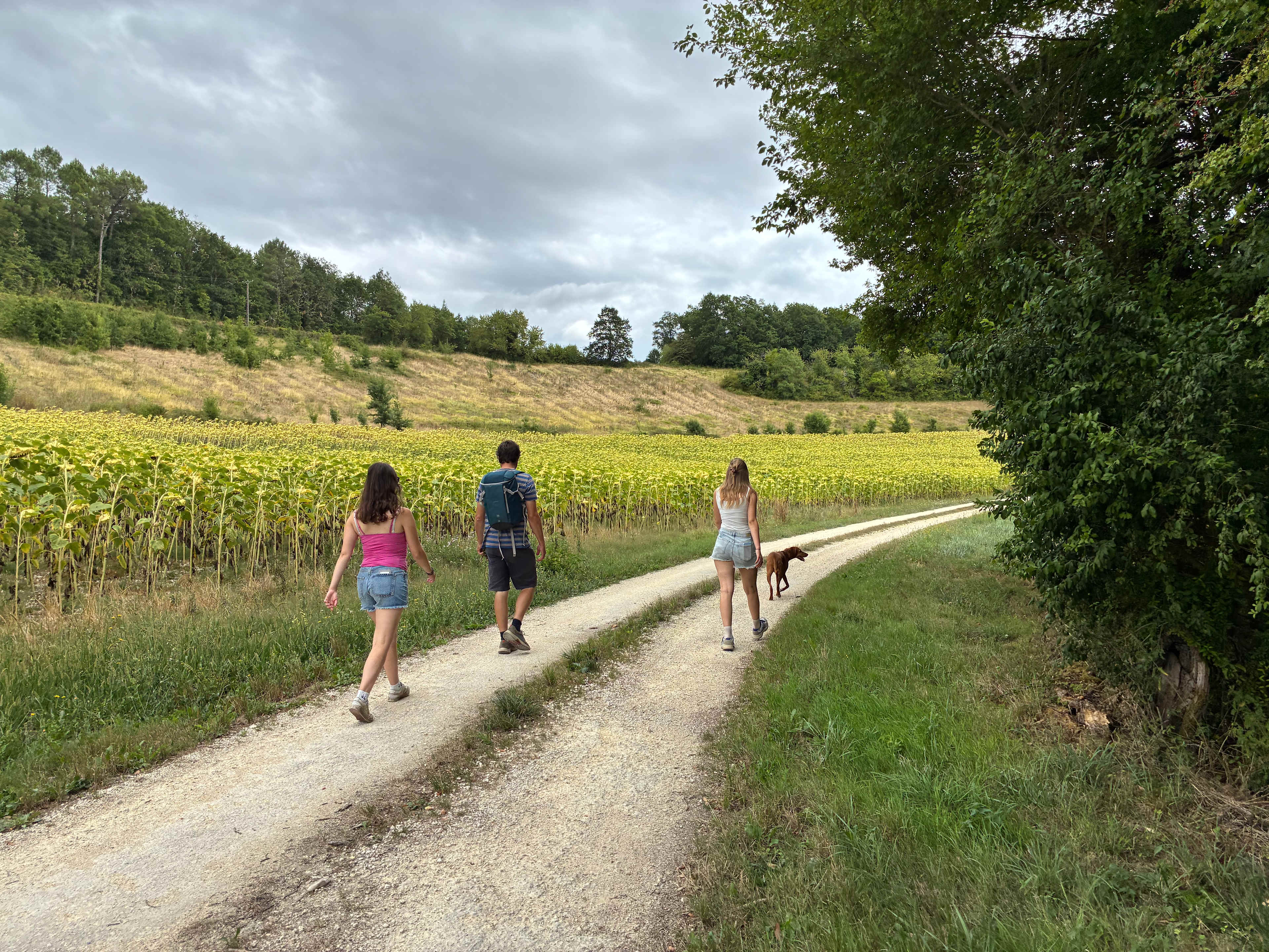Bellevues Glamping and Camping