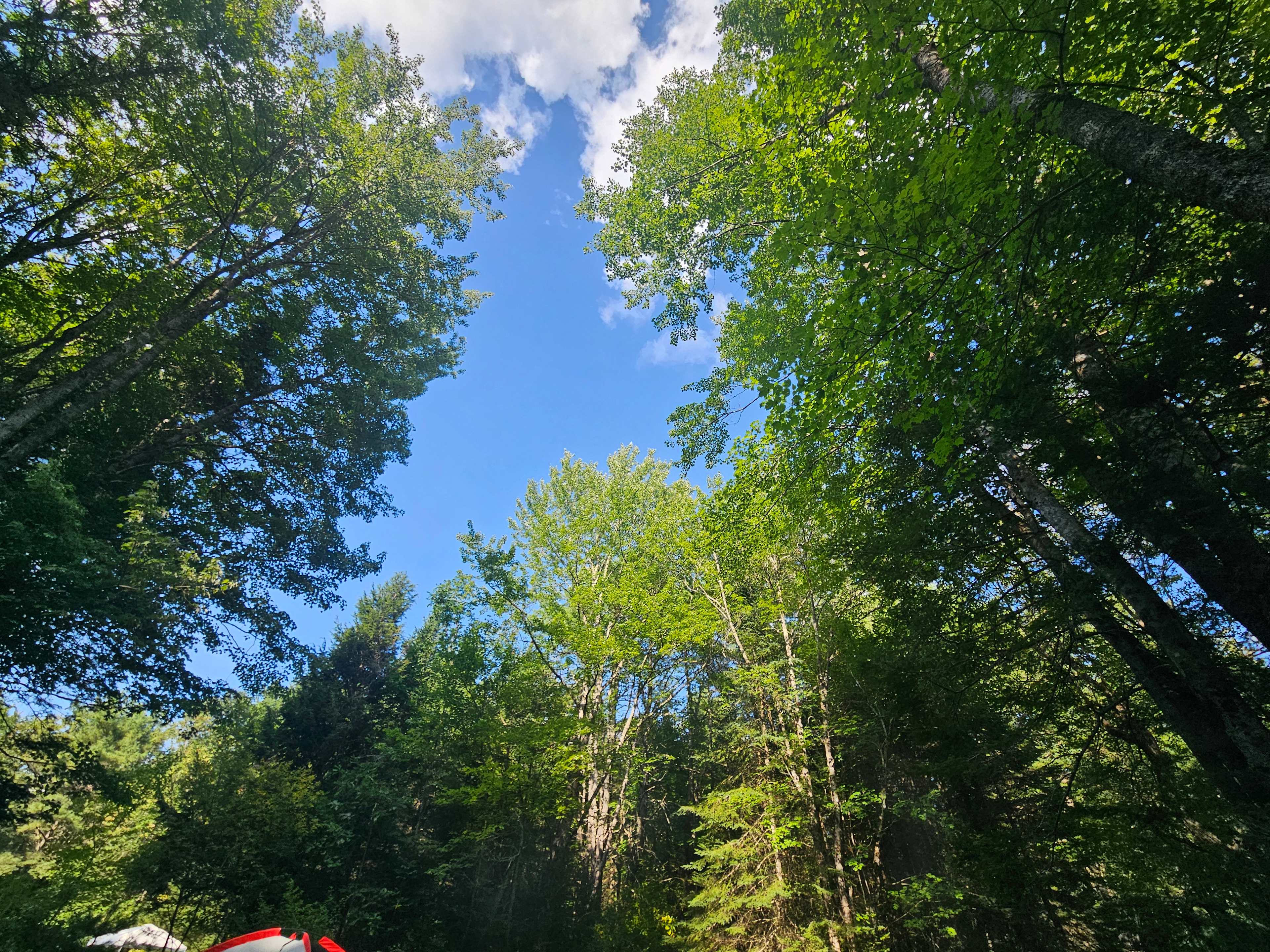 Porcupine Creek Rustic Camping