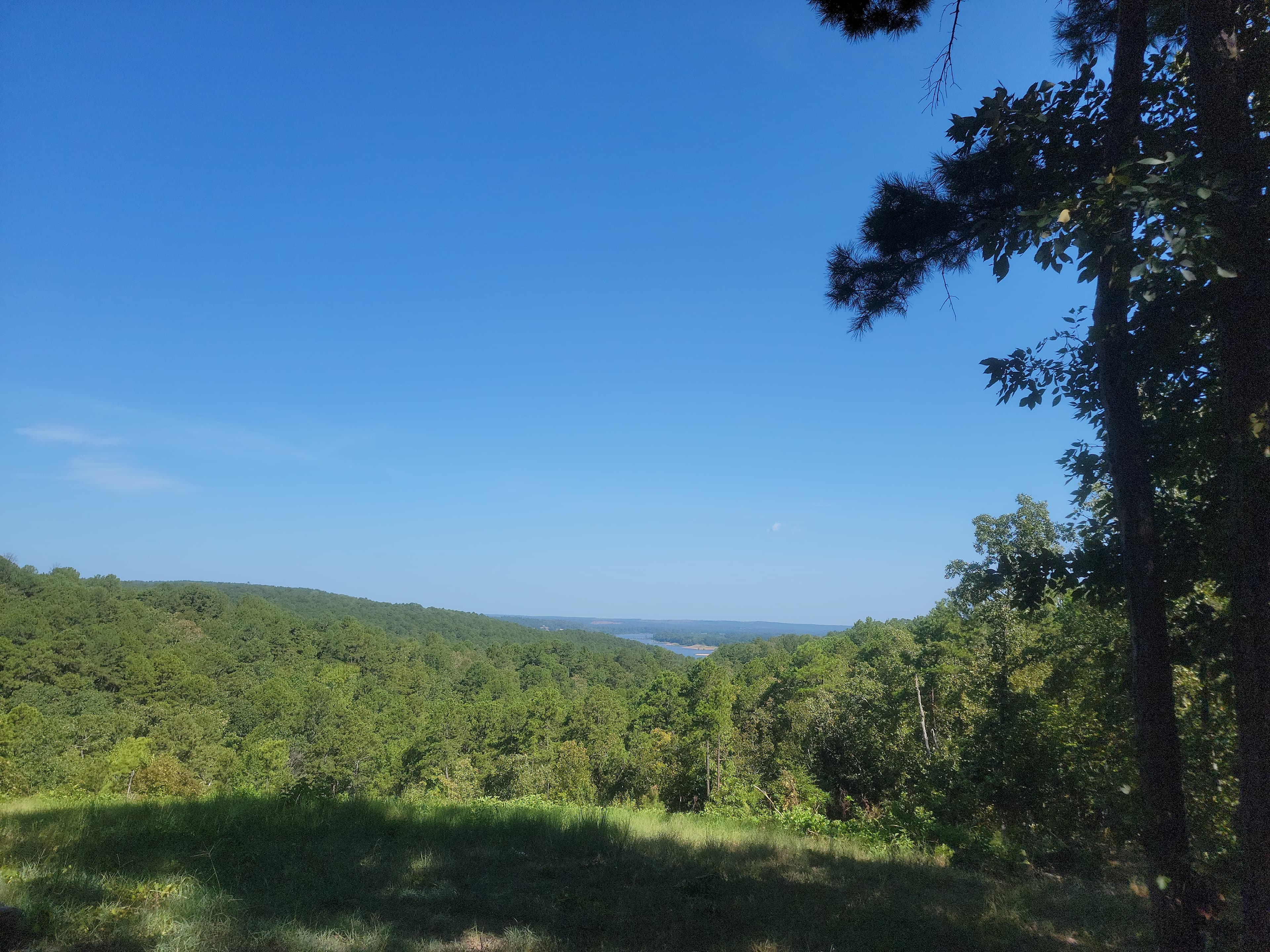 Mid day
