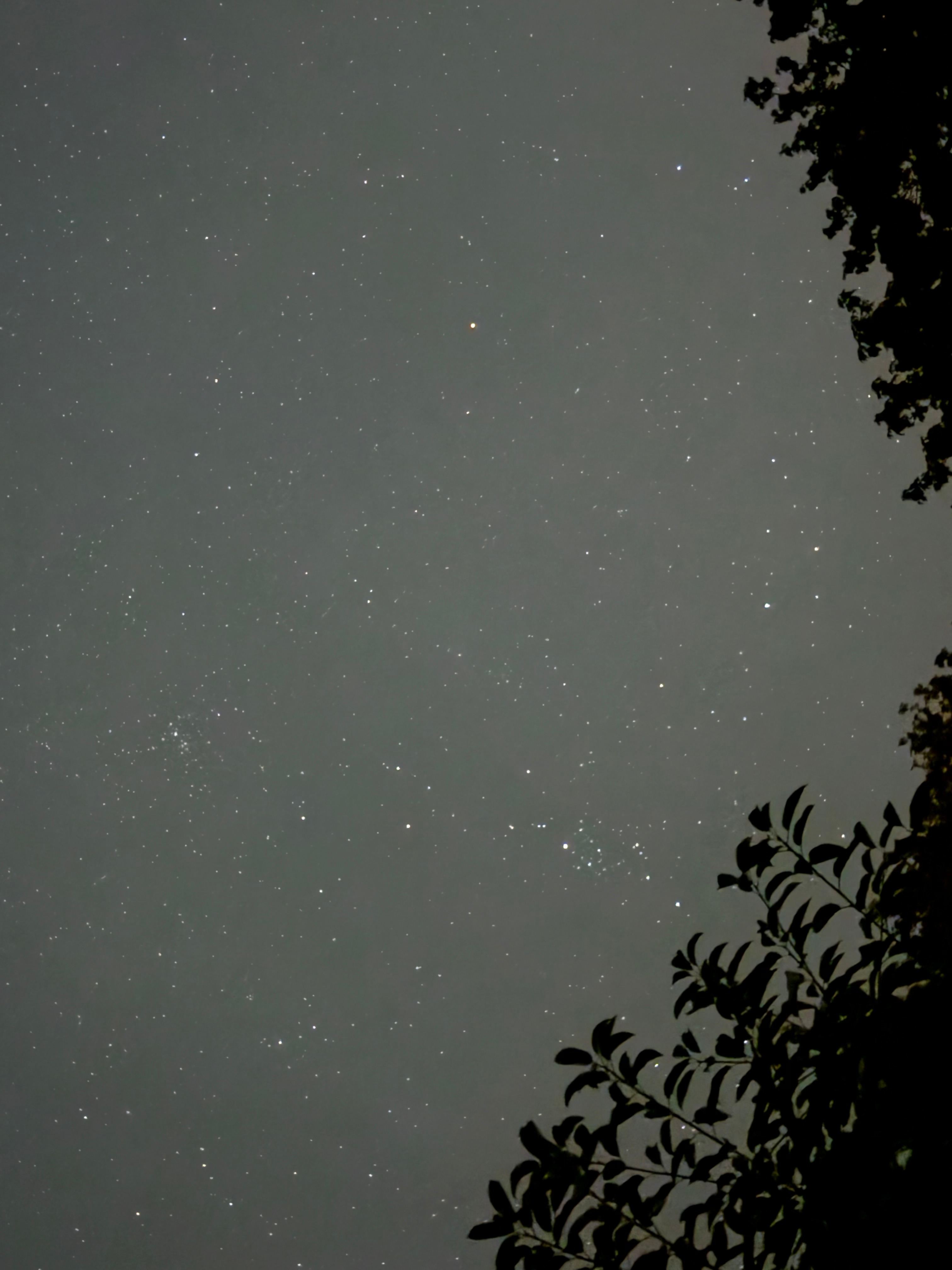 Stargazing ⭐️🌙