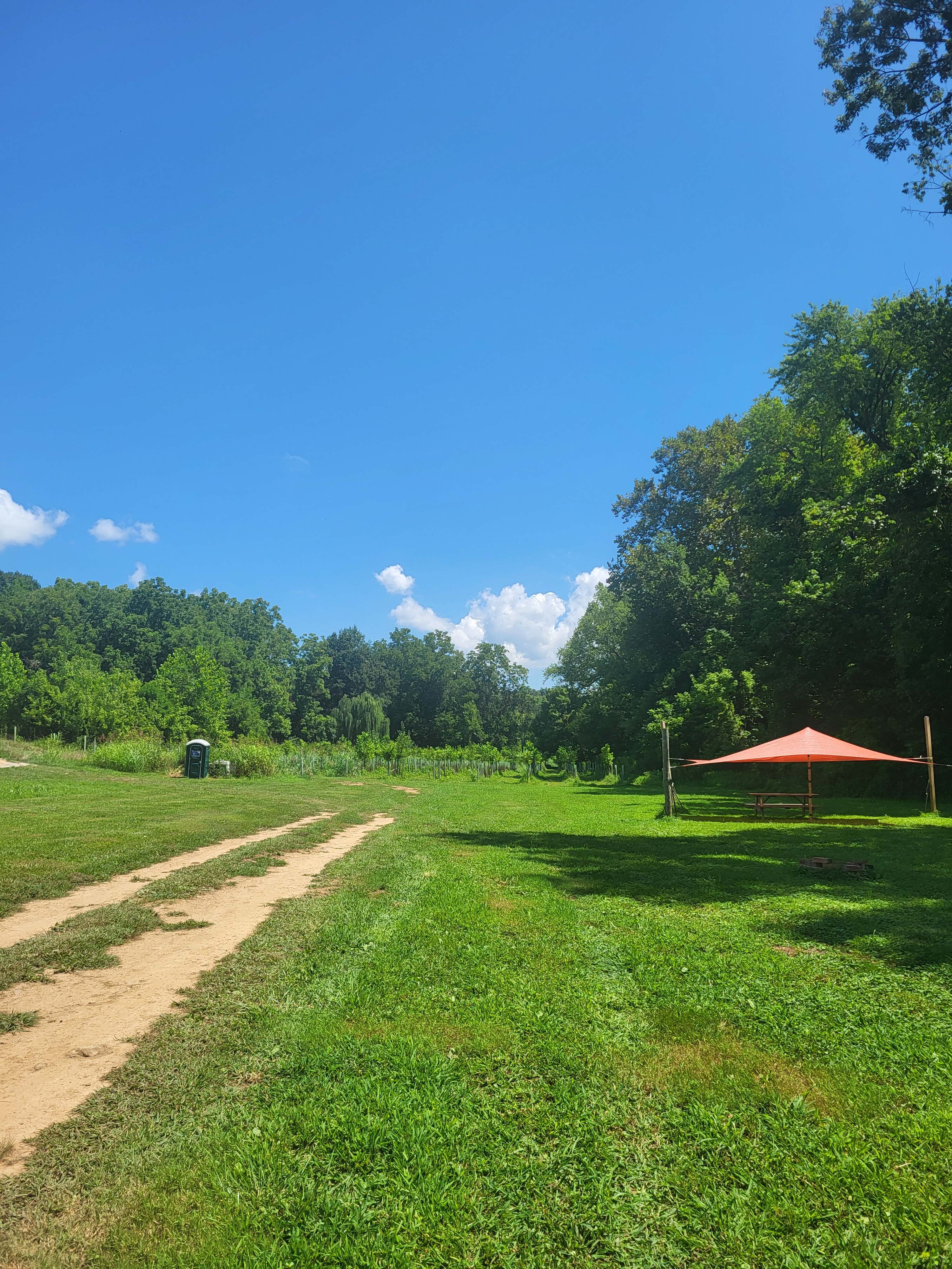 driveway loop next to site, sites 1 & 12 are closest to the bathrooms