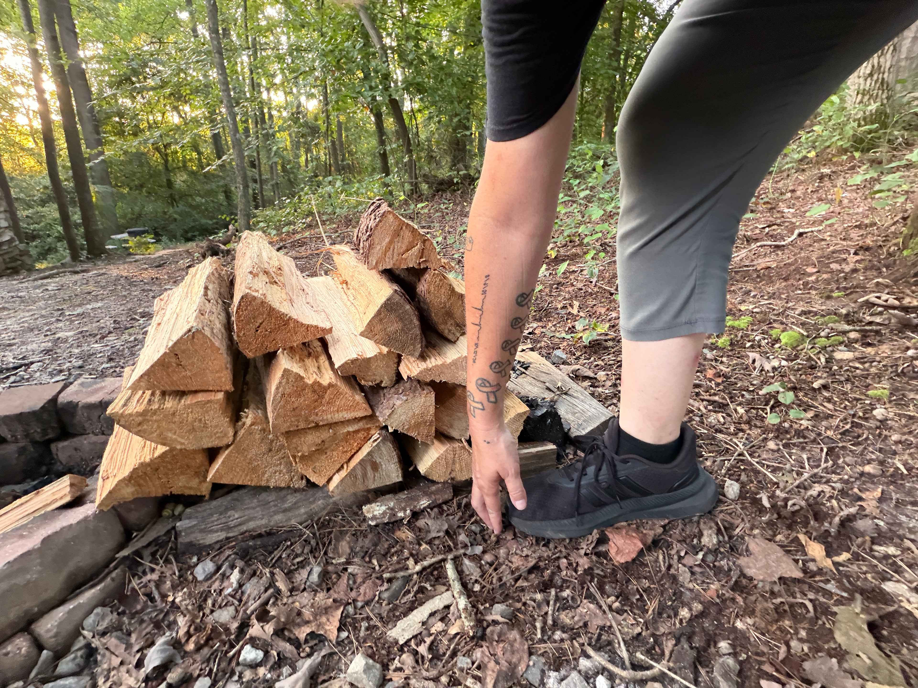 So much firewood!!!