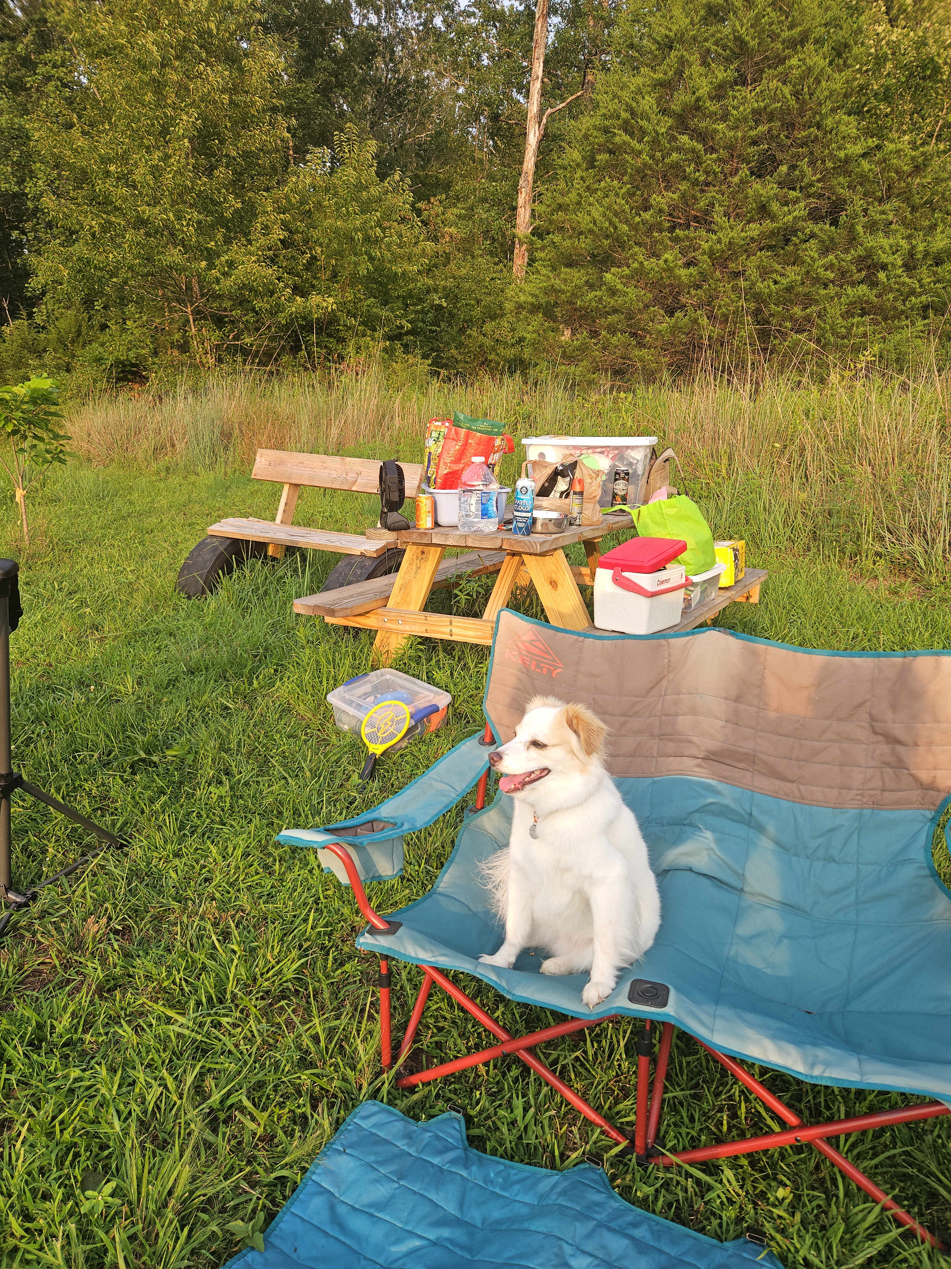 bench and picnic table included! BYO dog
