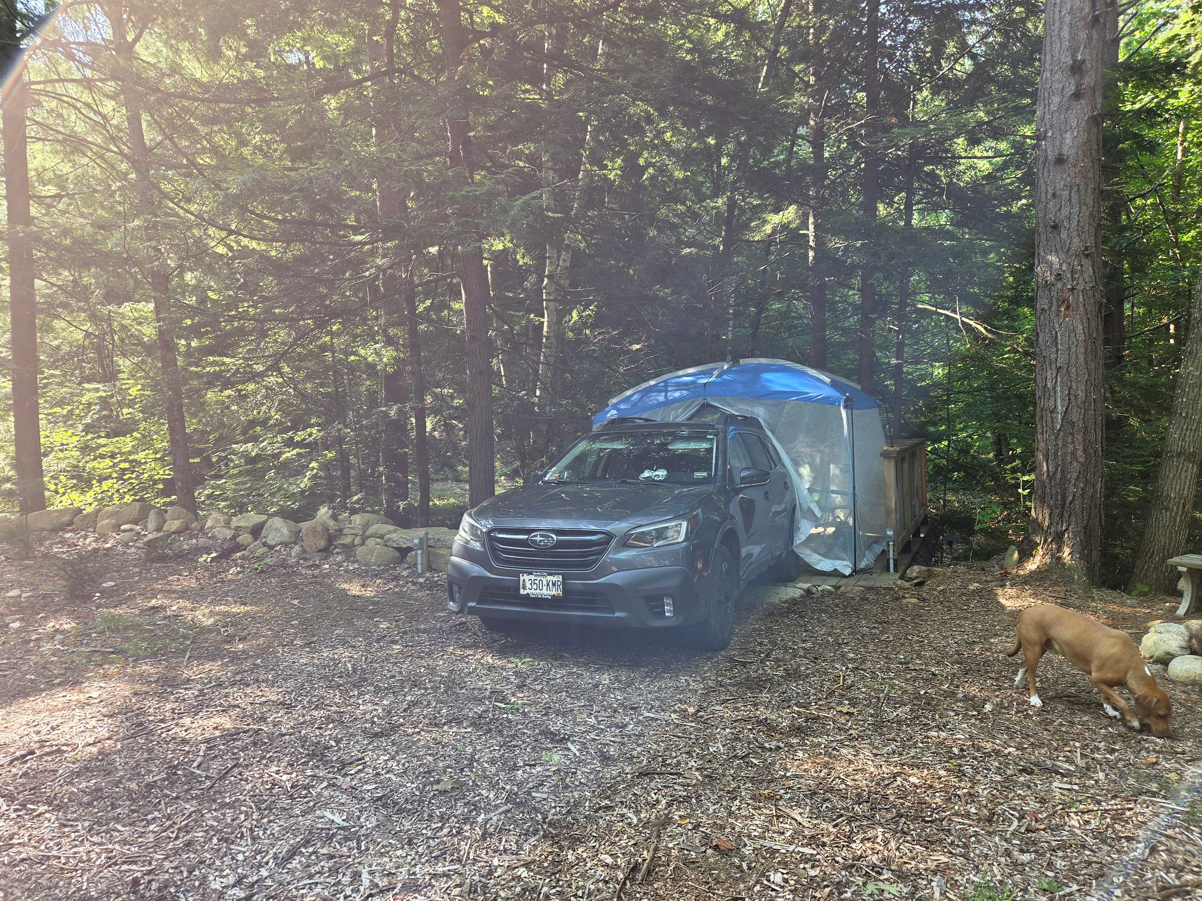 Cozy car camping next to the babbling brook!