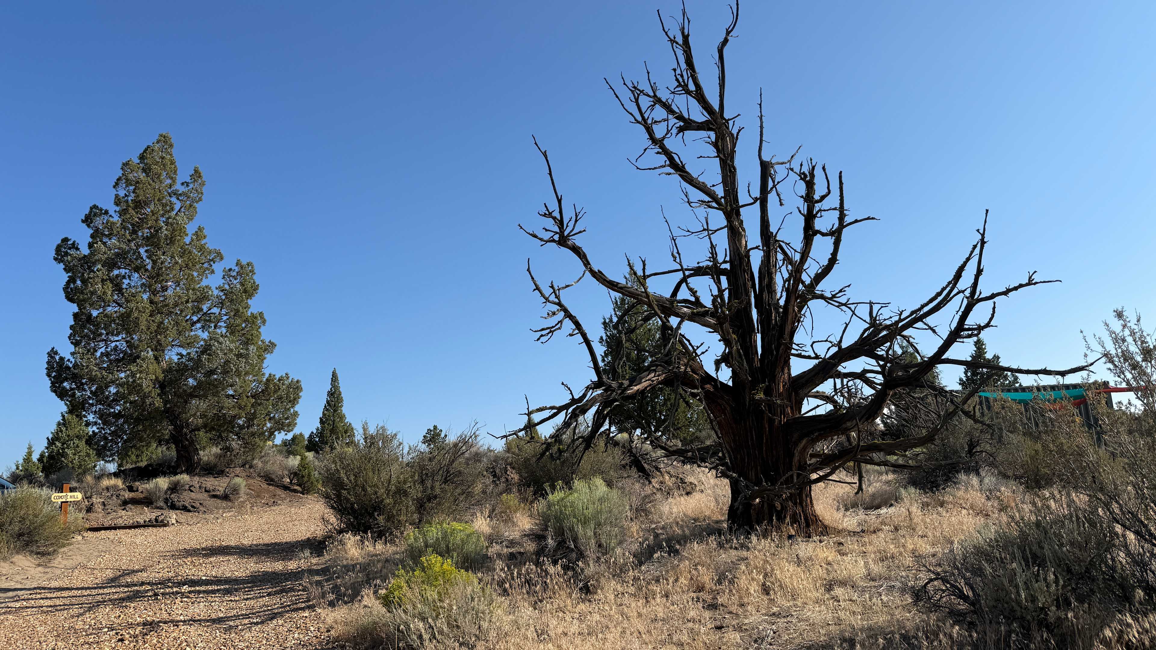 Sage Ridge