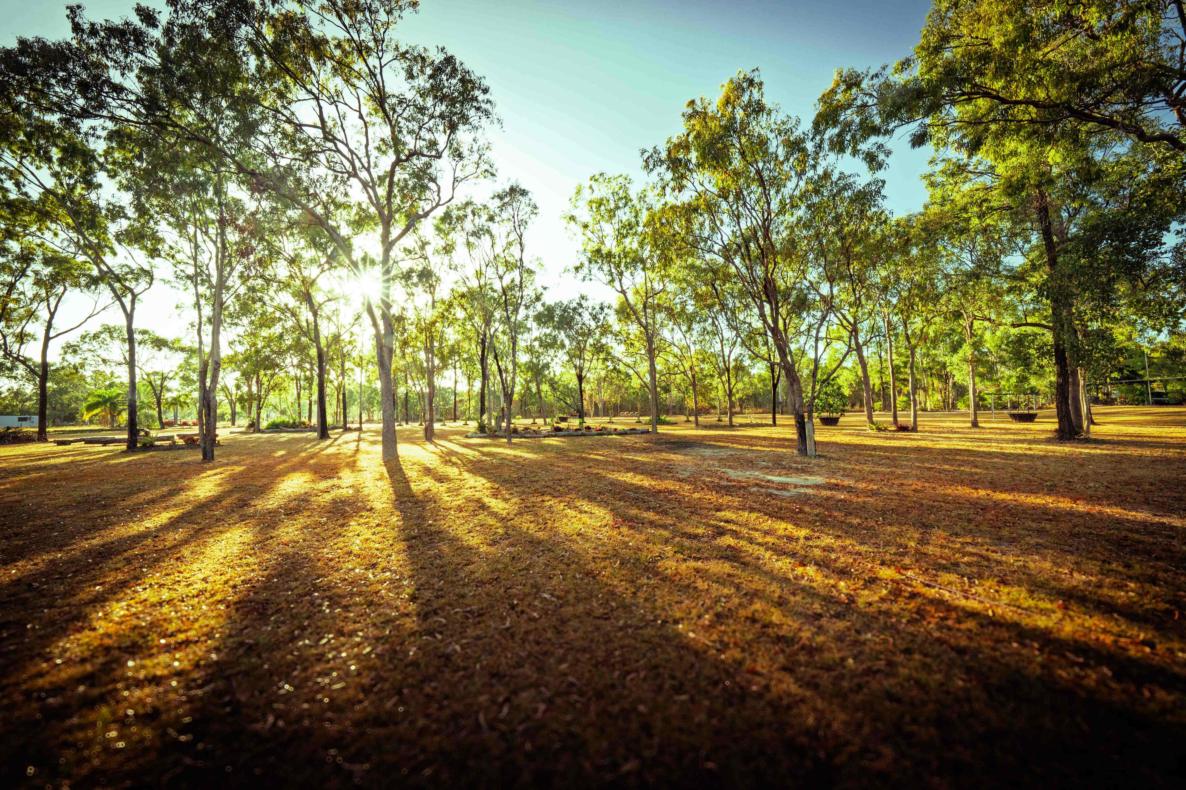 A view of the site. Camp anywhere