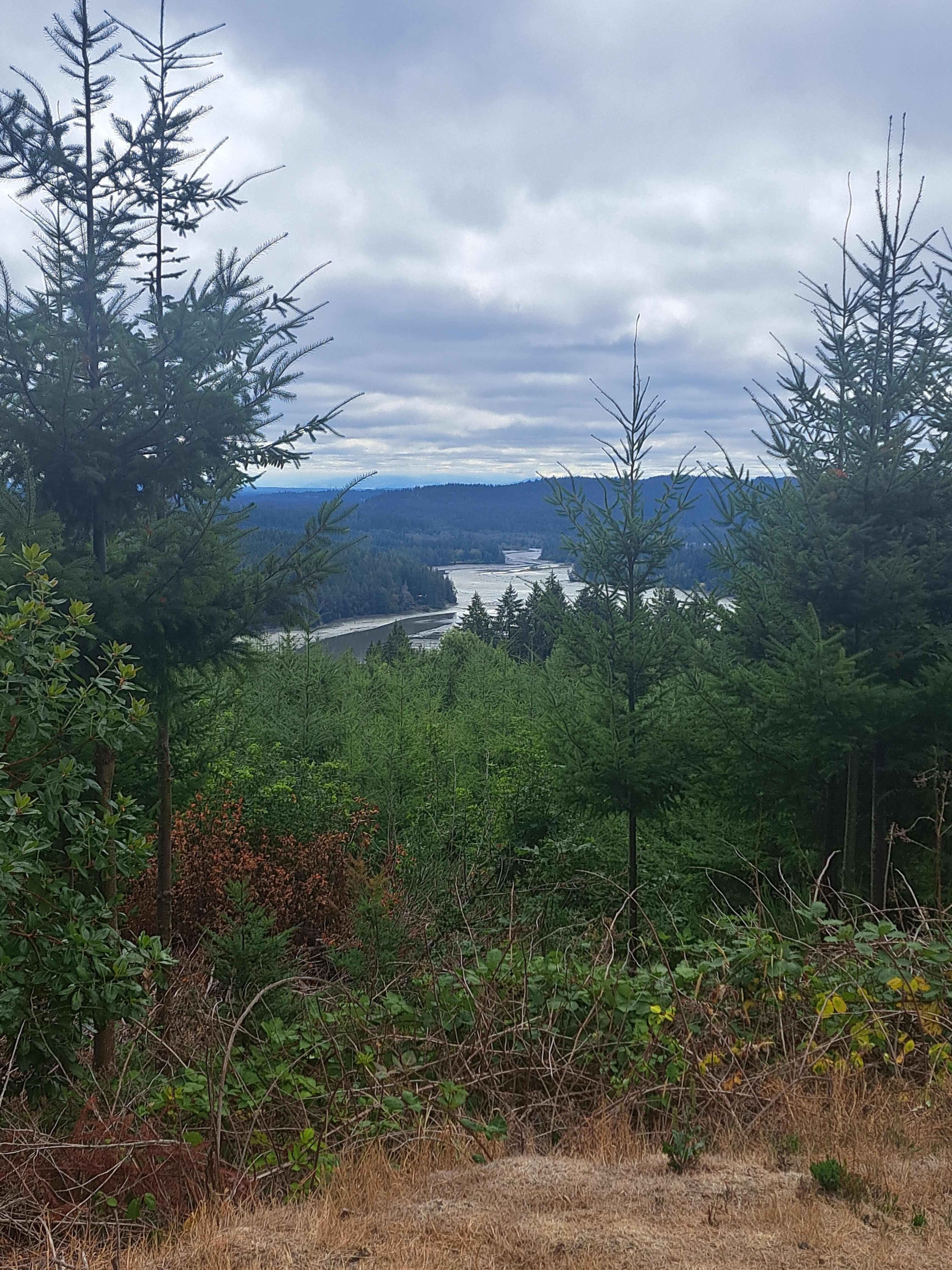 Hairy Eagle Lookout 🦅
