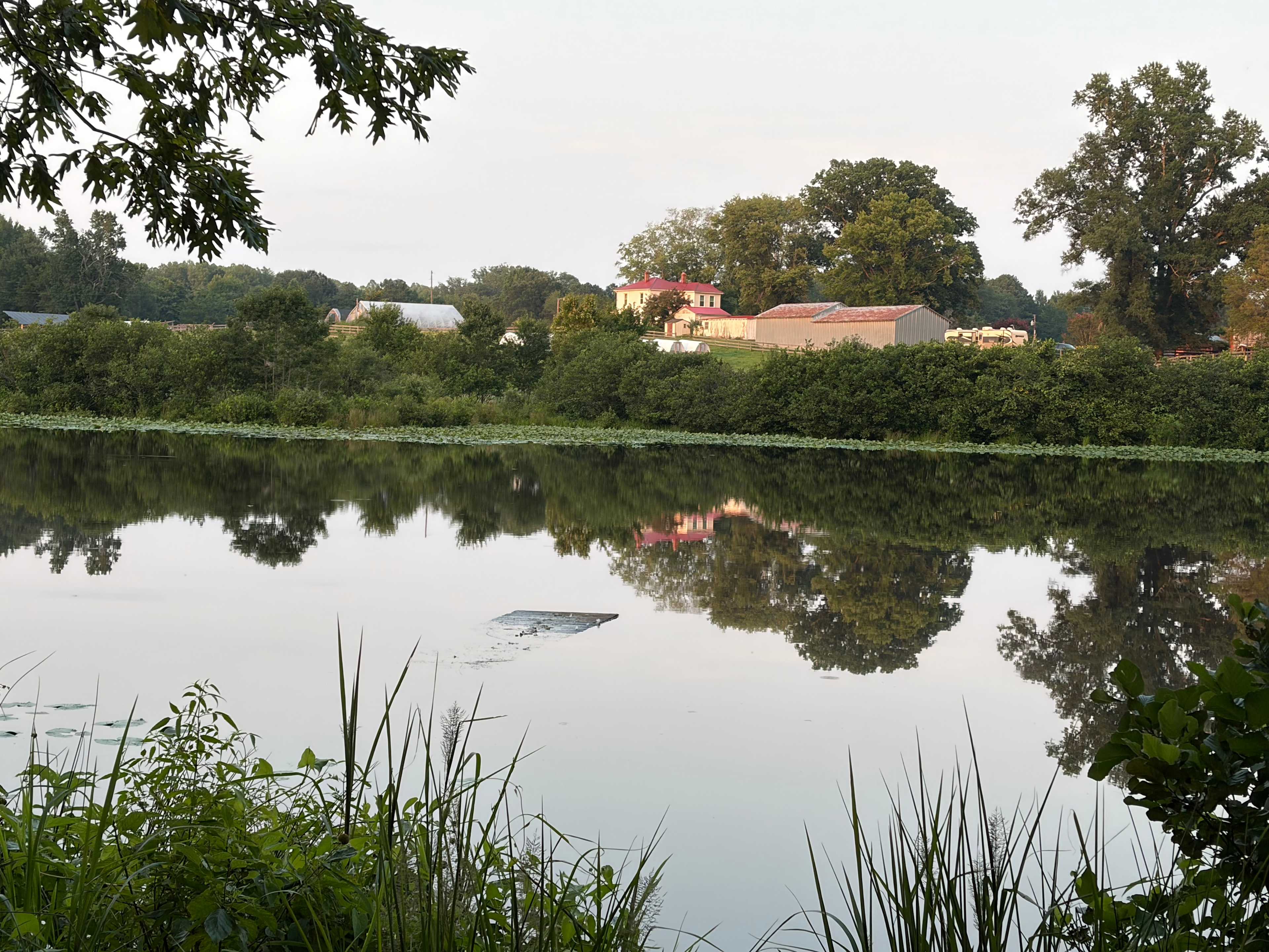 Sunrise by the Pond