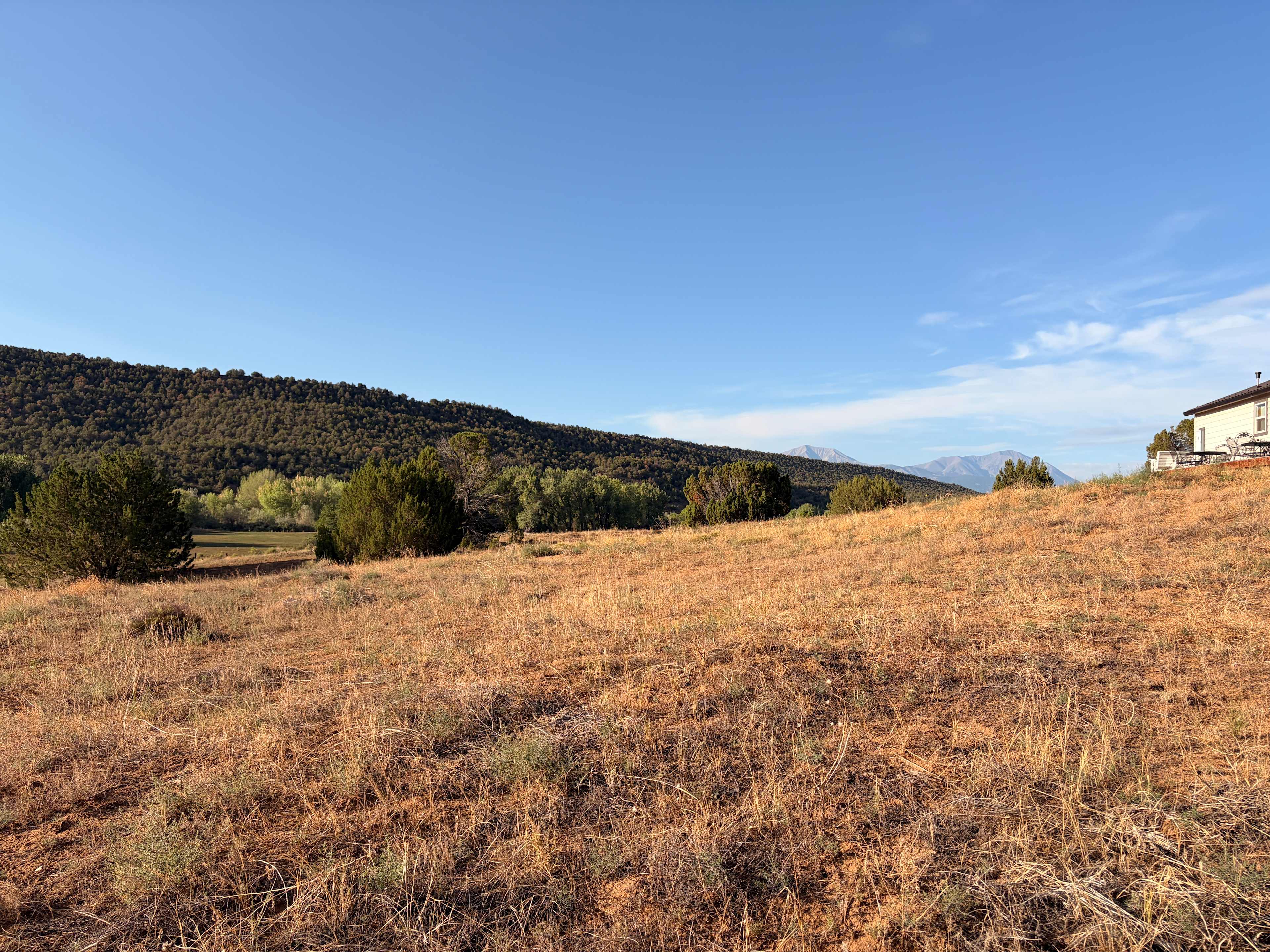 RADZ Retreat