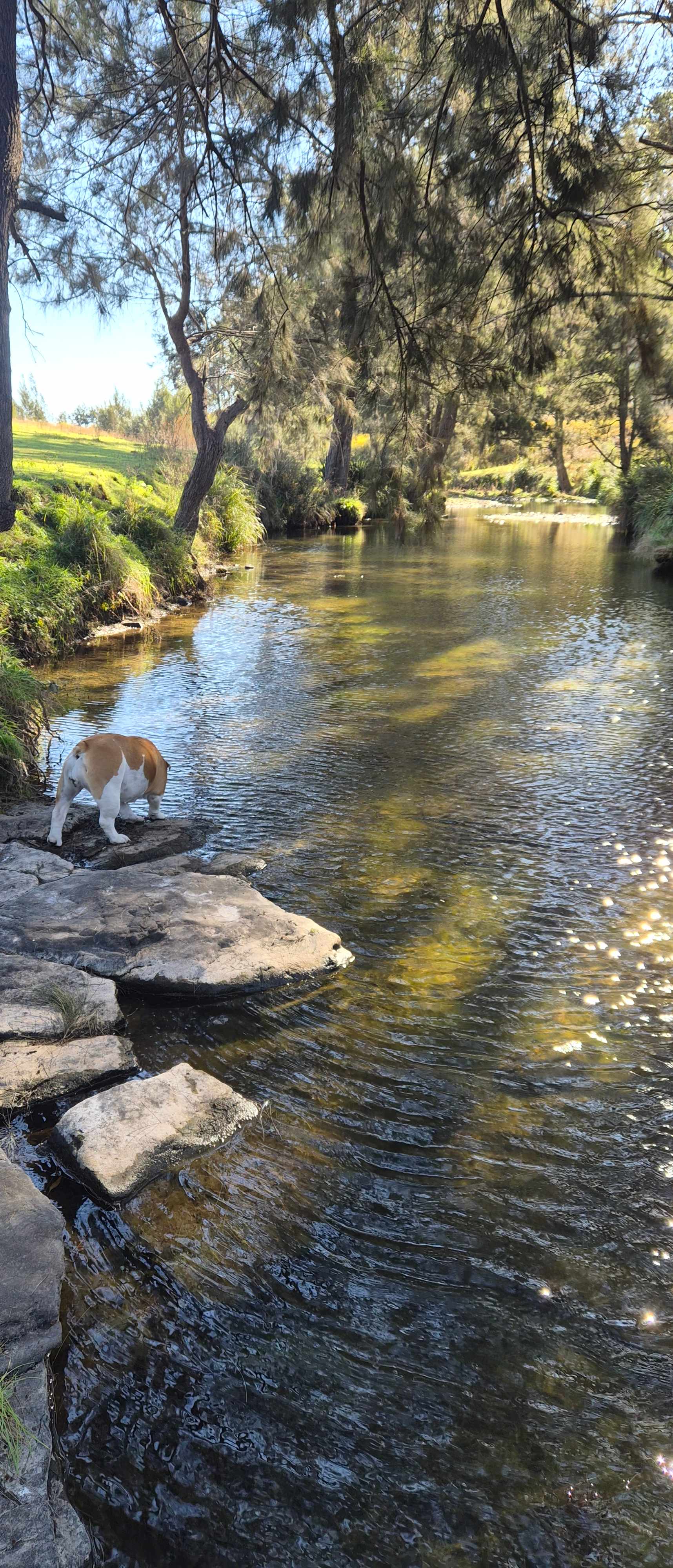 Millar Vale Creek Camping Innisfree