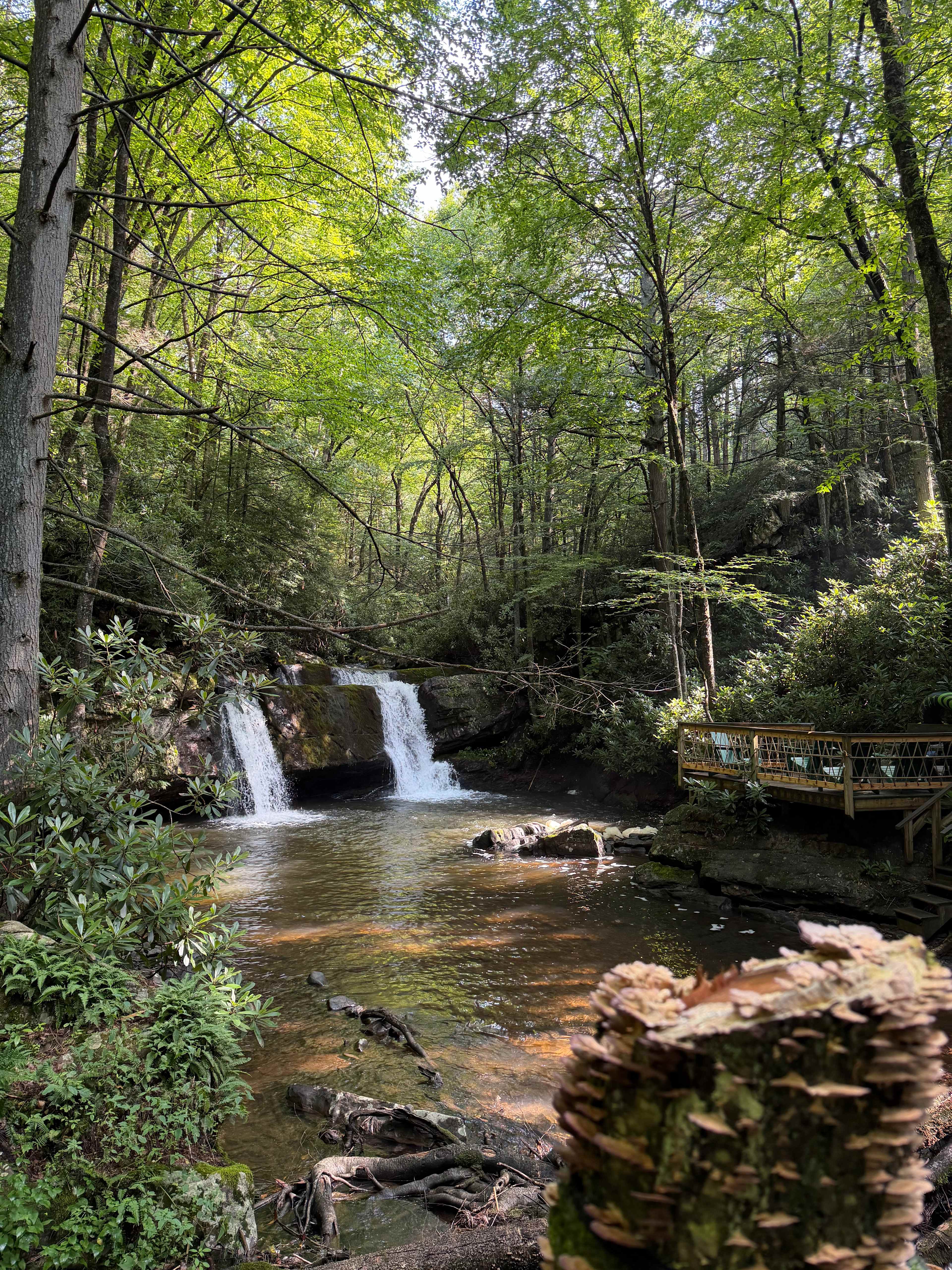 Camp Dietrich on Bear Creek