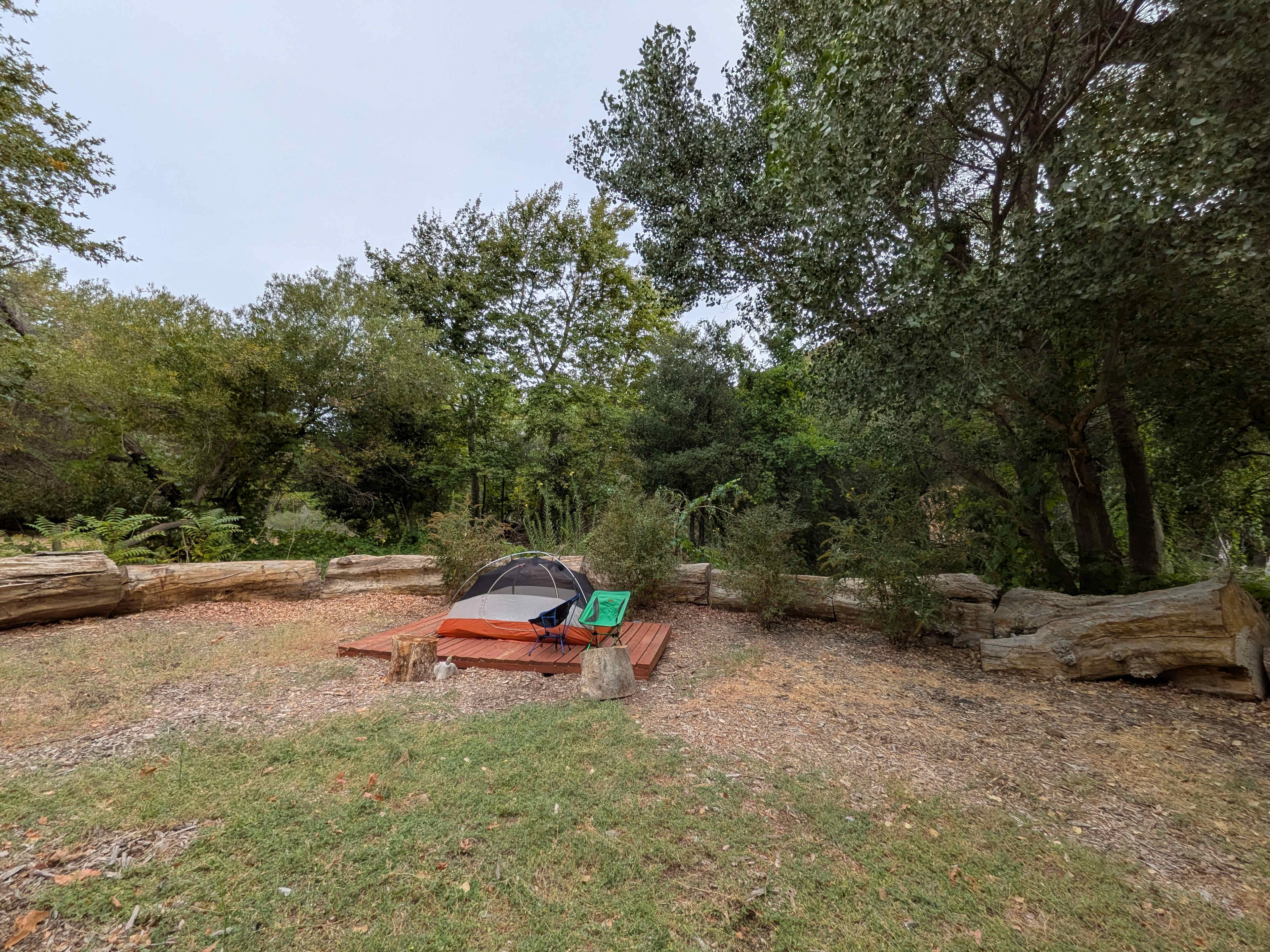 Picture of the site