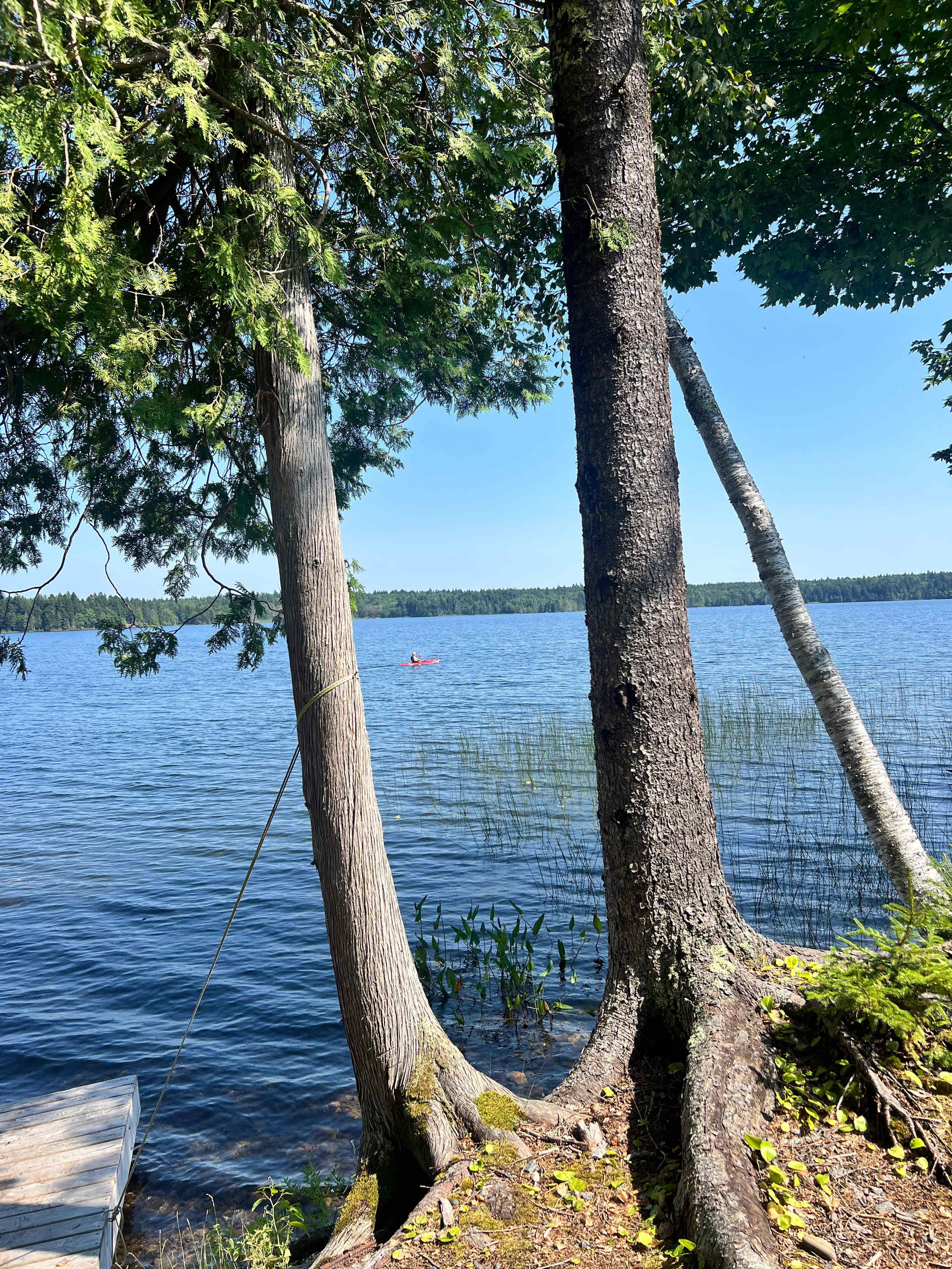 Lakeside Cabin Near St. Andrews