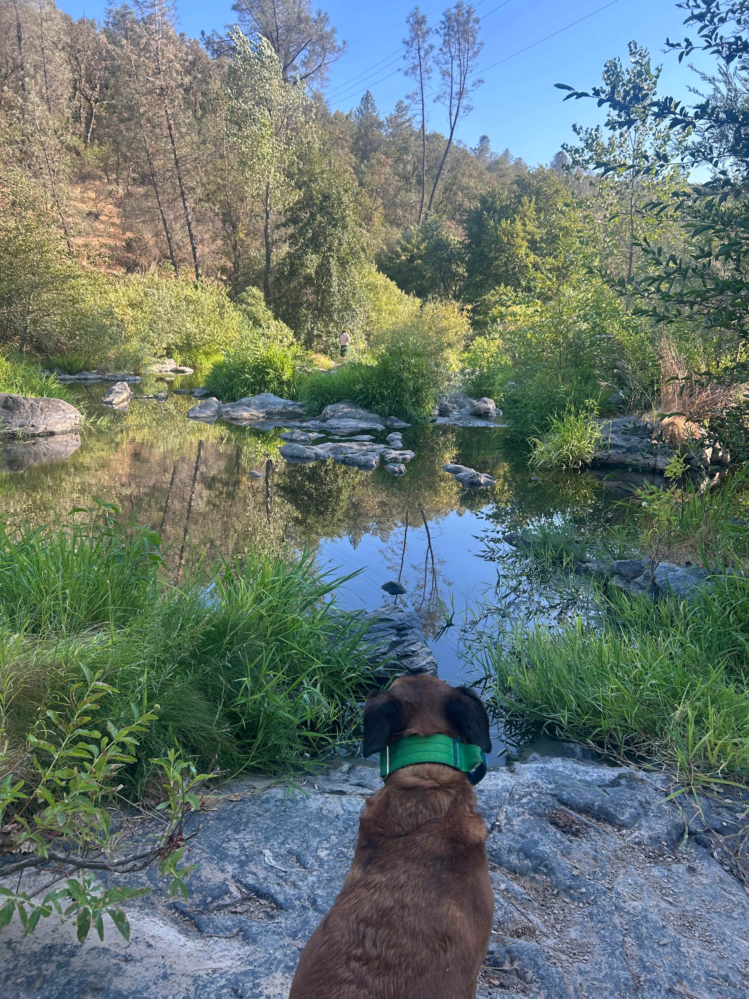 Perfect Getaway with Private Creeks