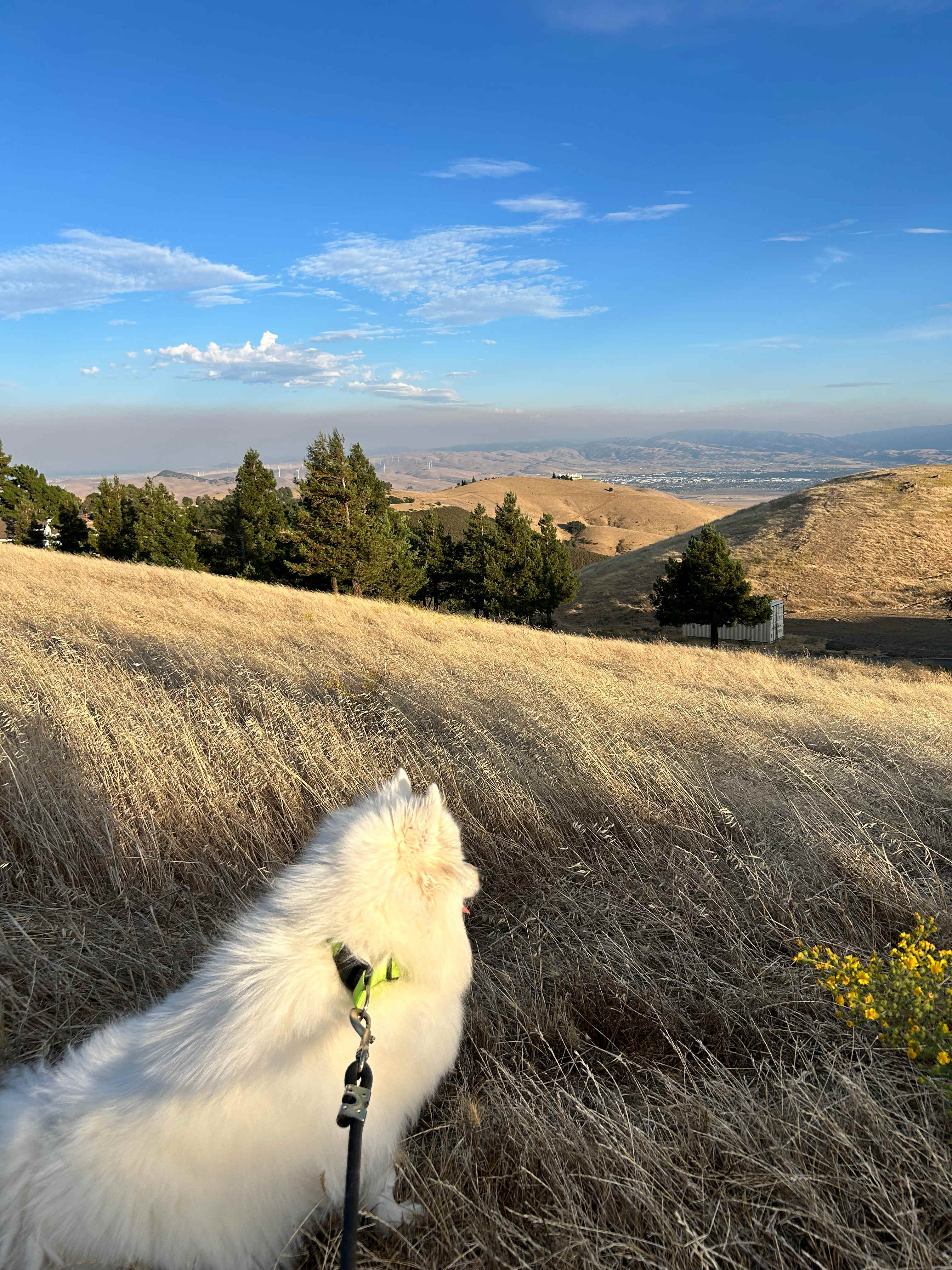Majestic views