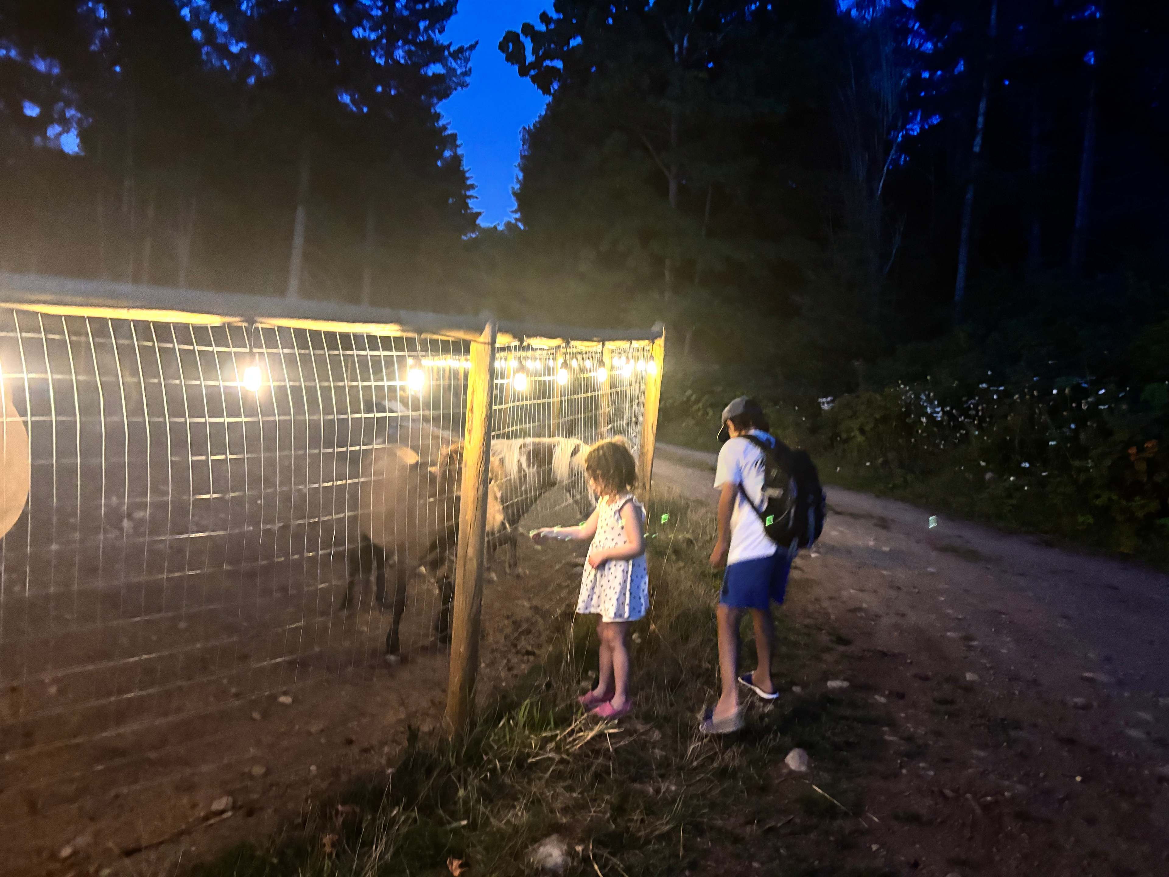 Raysong Cabin and Camp Sites