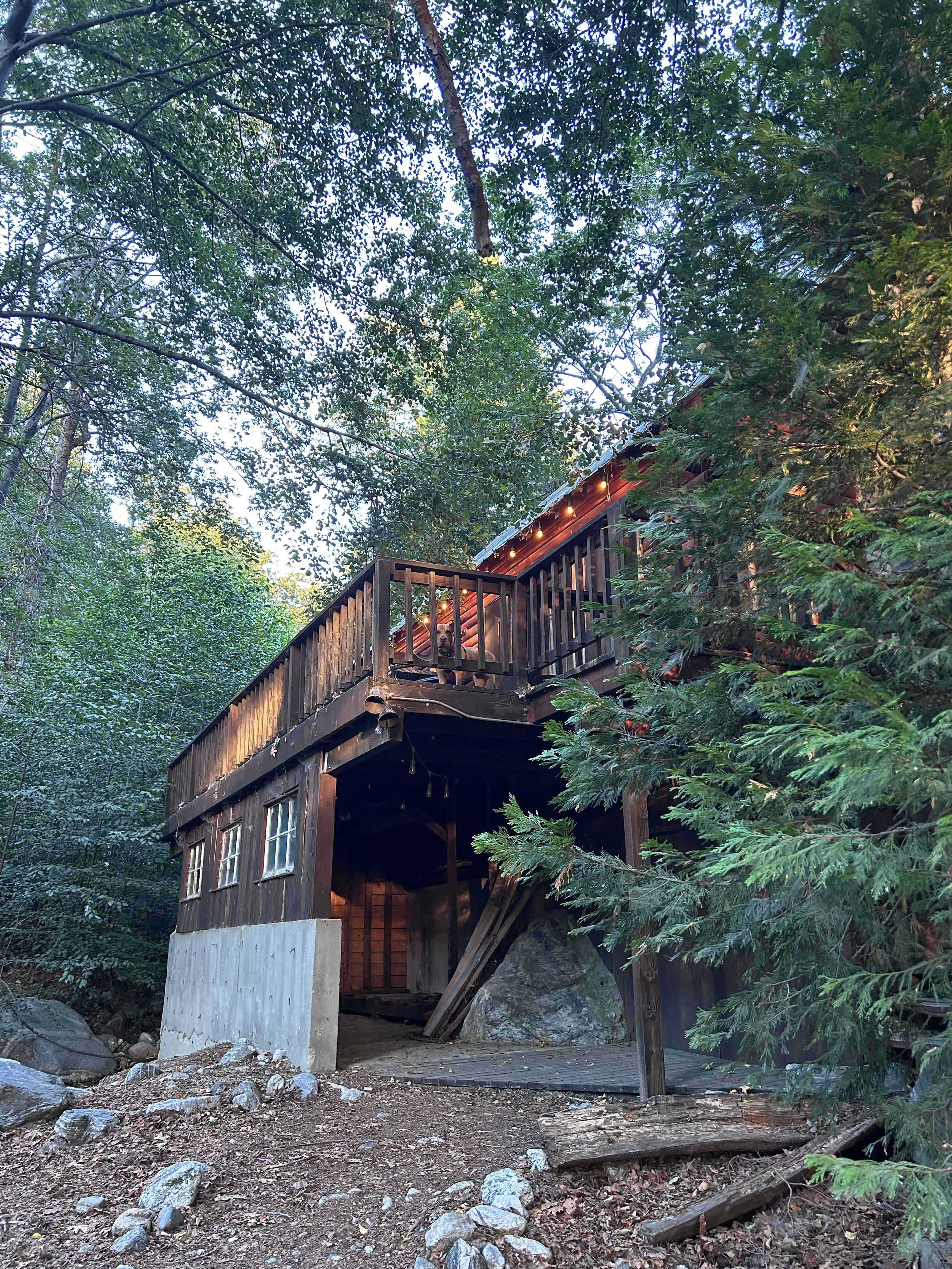 Creekside Vintage Cabins w/hot tubs
