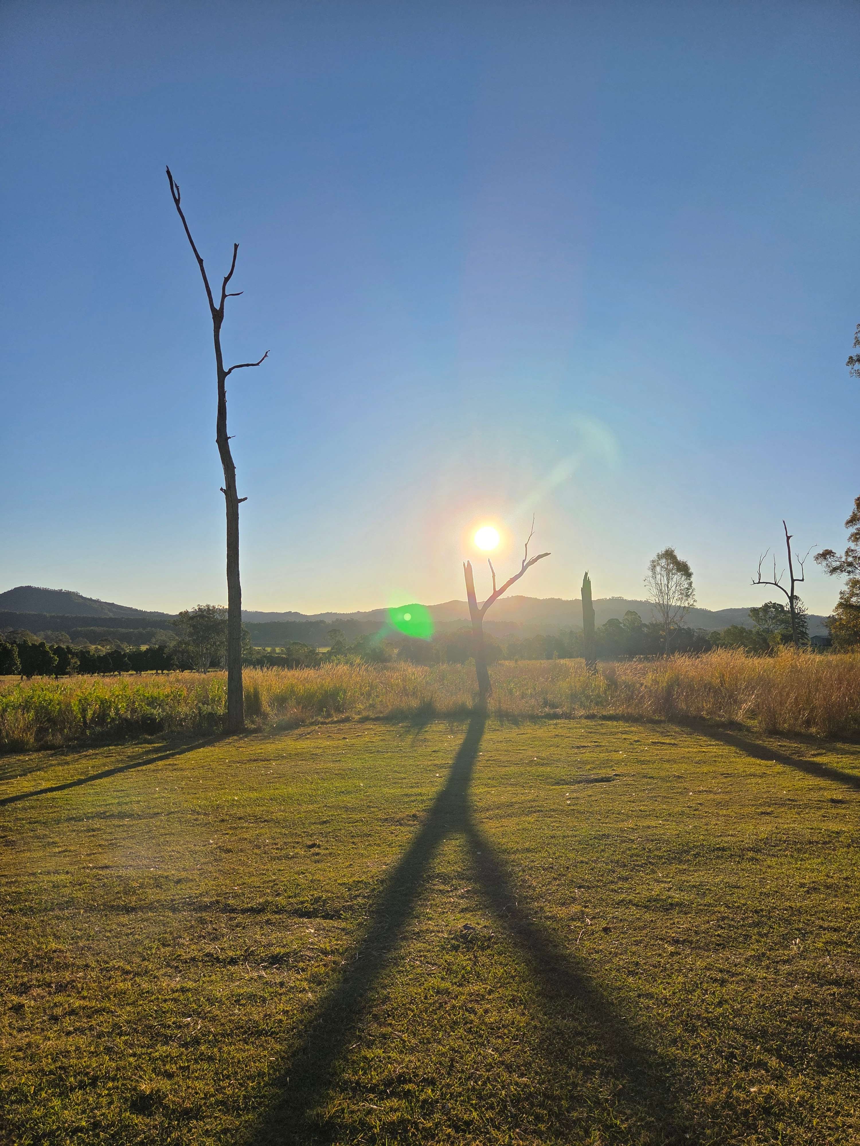 One of the views at Dead Tree Alley