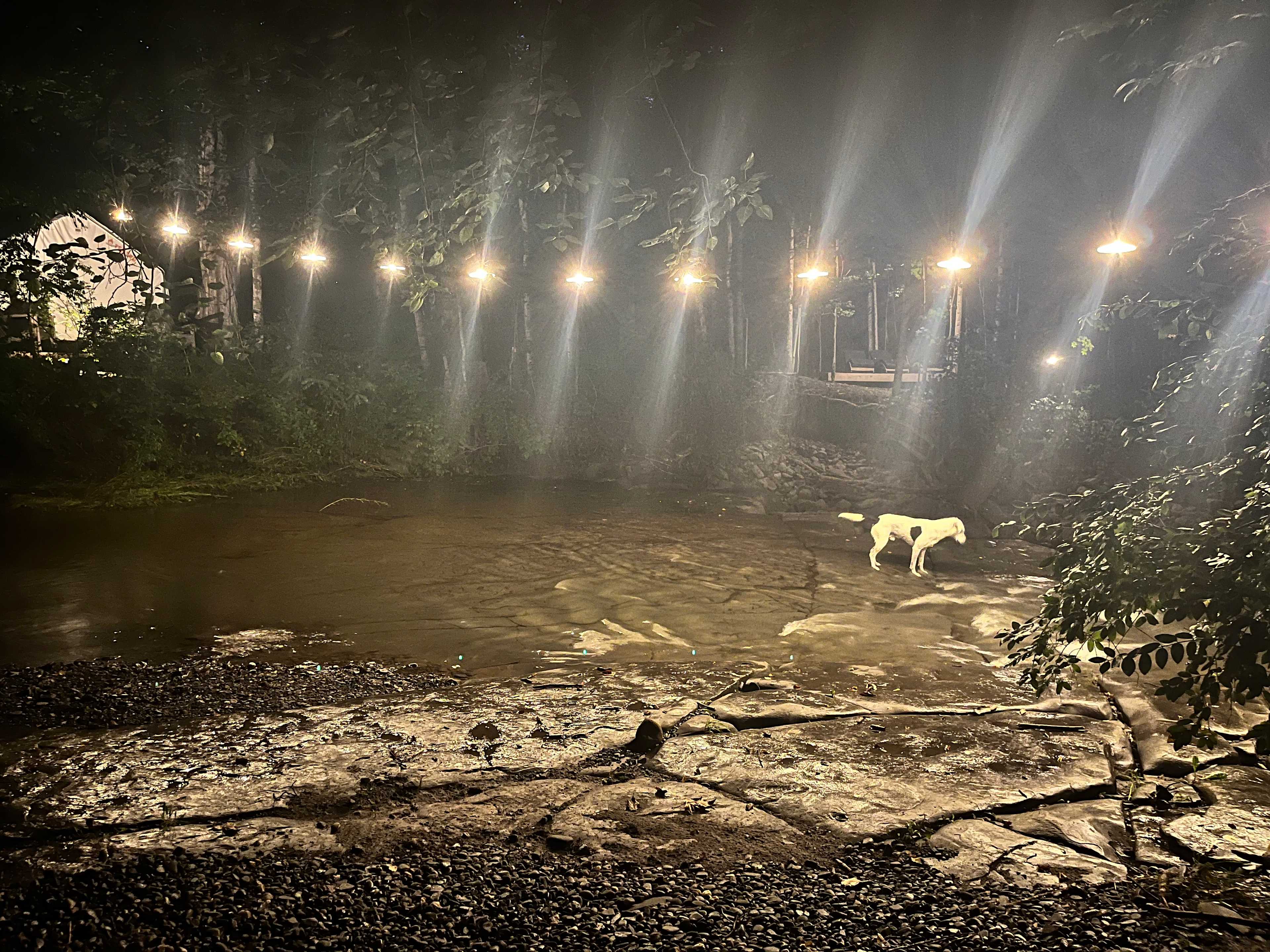 Locust Grove Waterfall