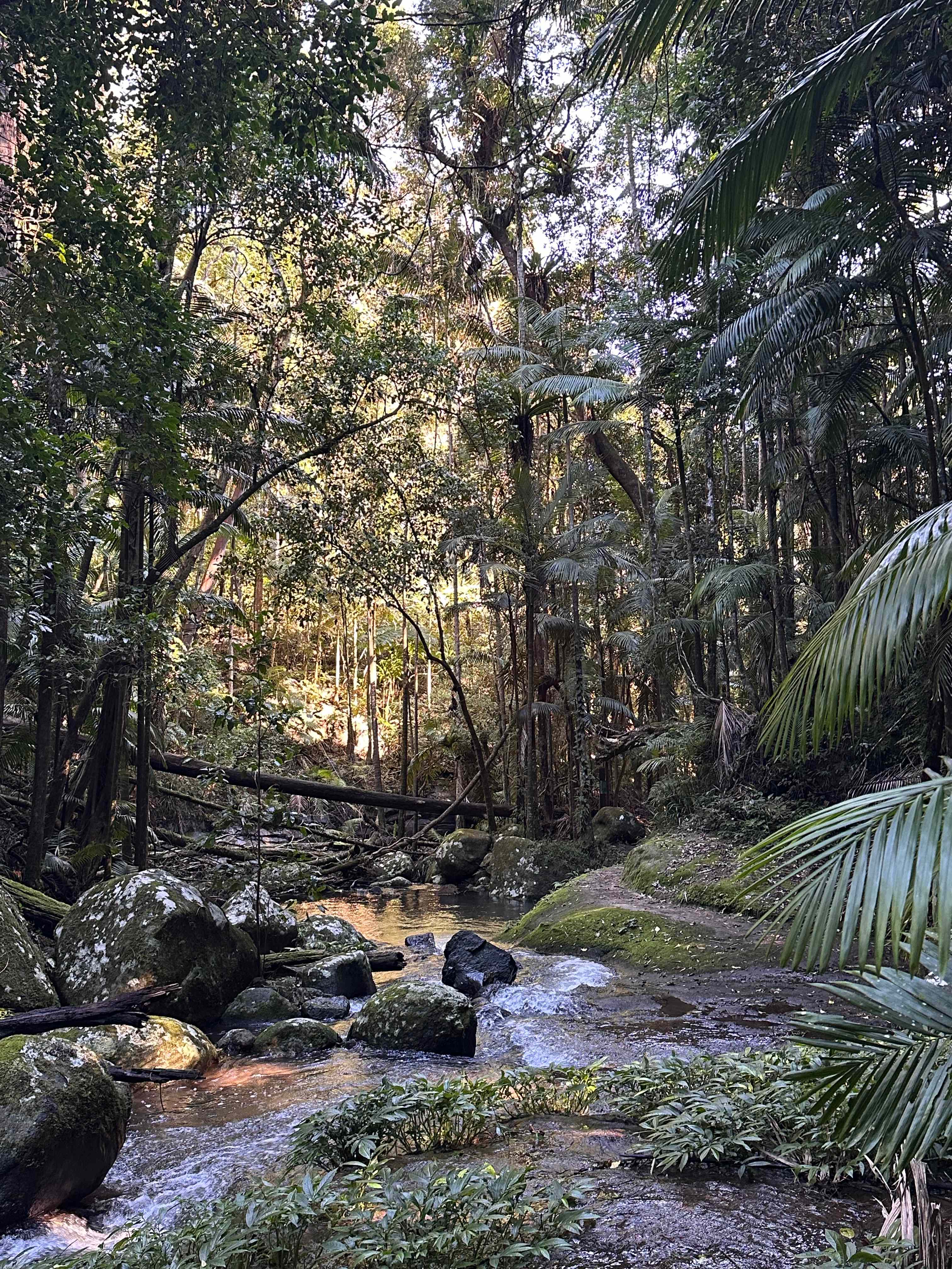 Rainforest Gateway