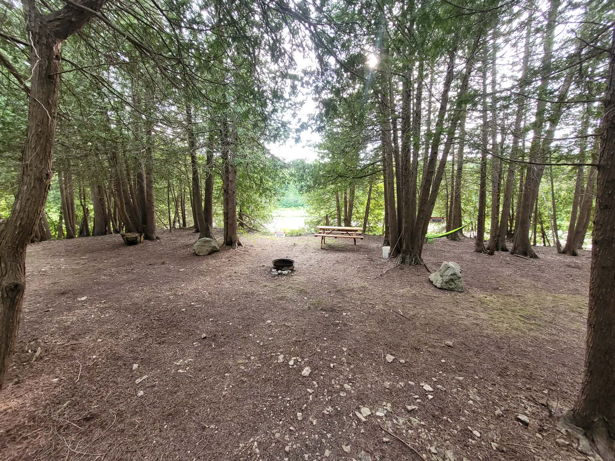Picture of the site
