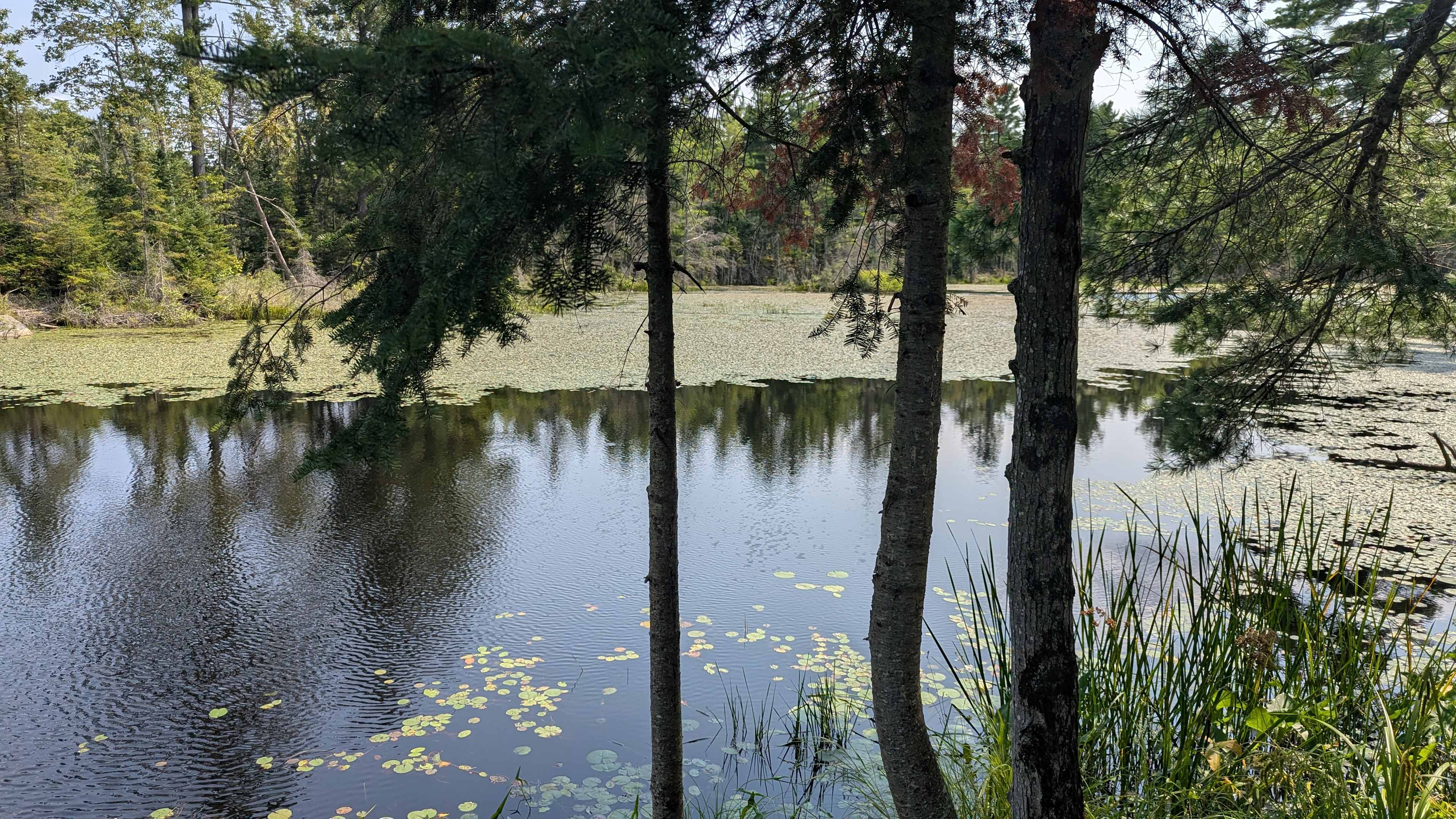 Hemlock Point Campground