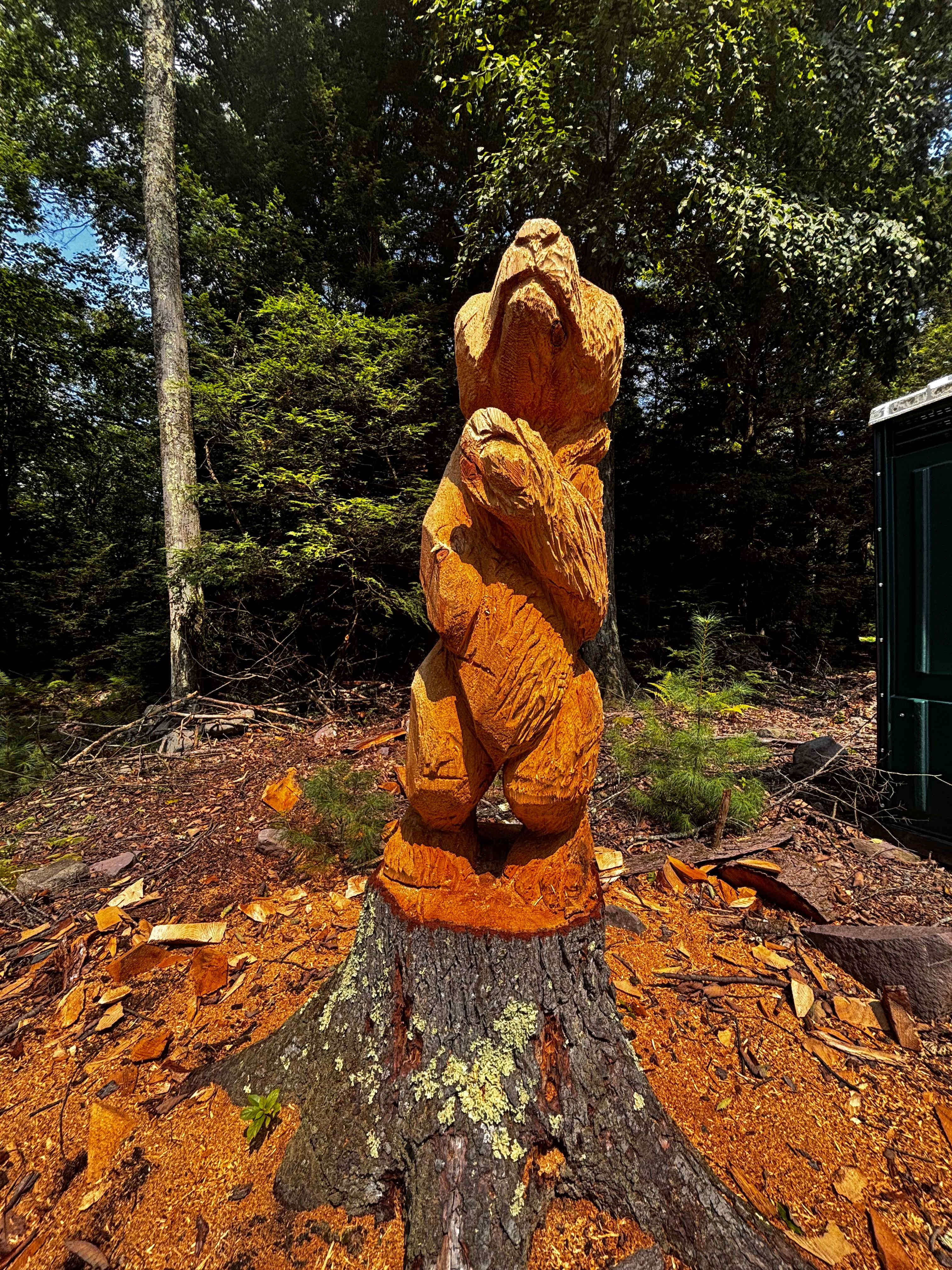 Carvings !