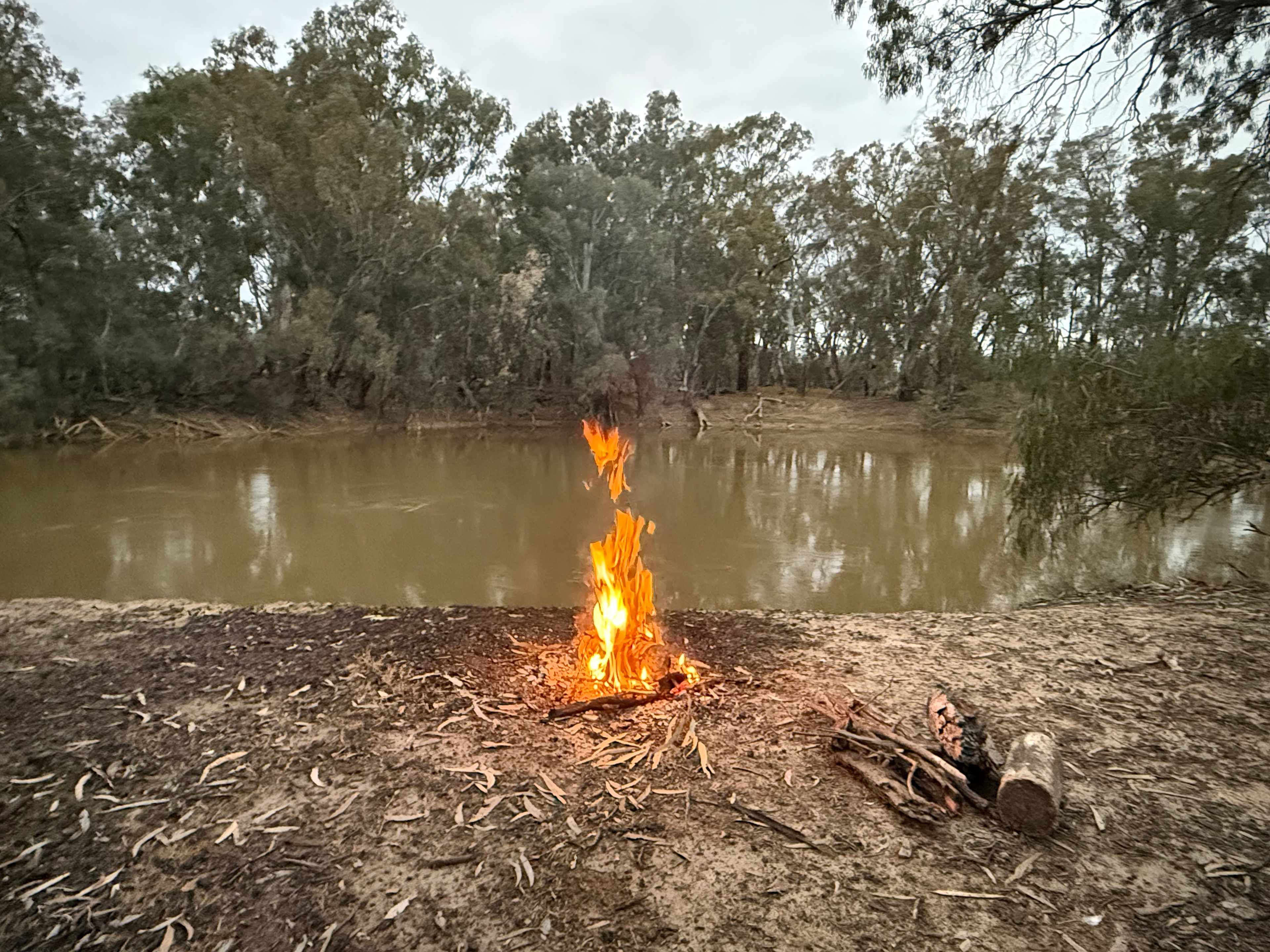 Murraywood