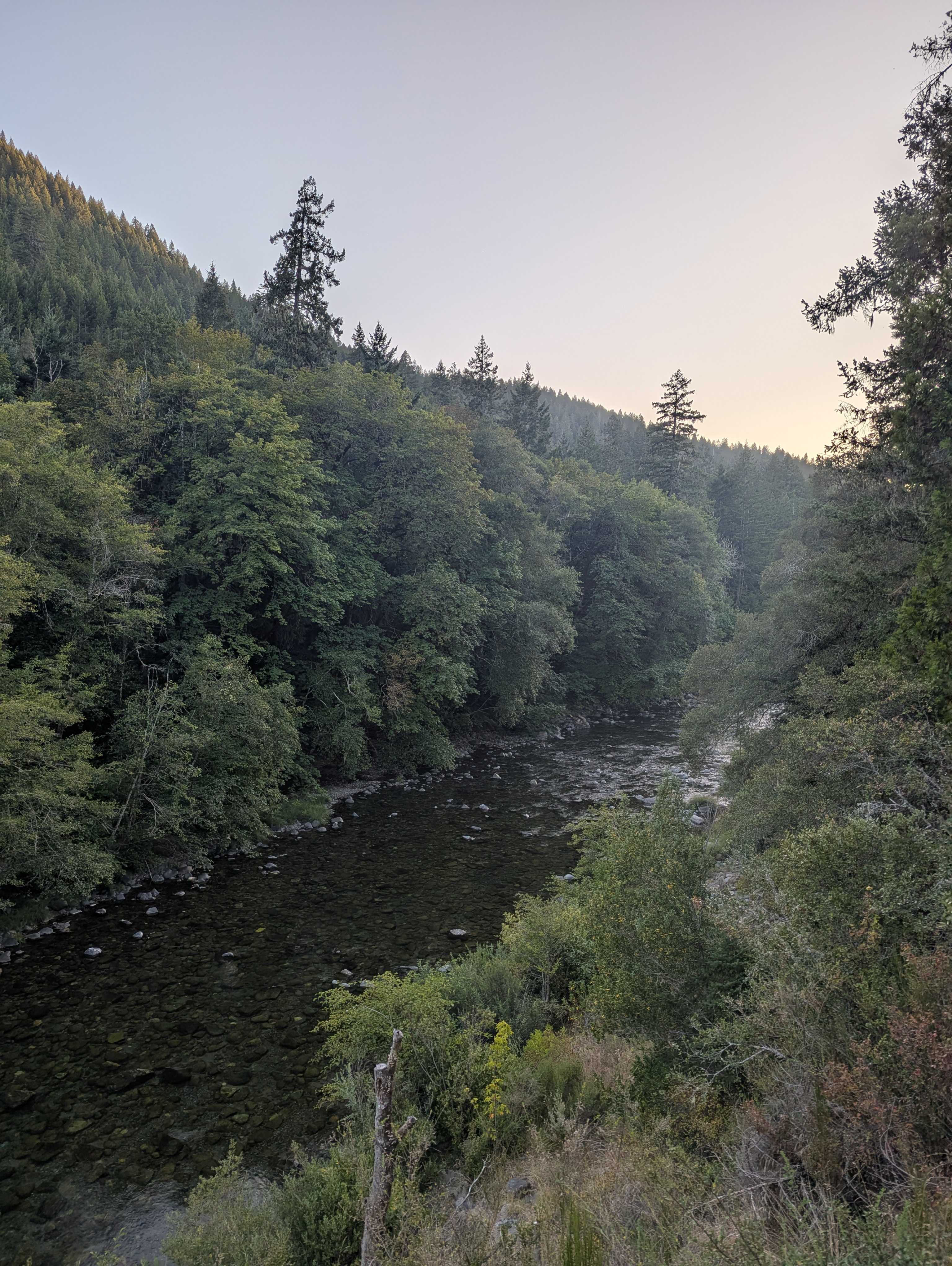 the morning view
