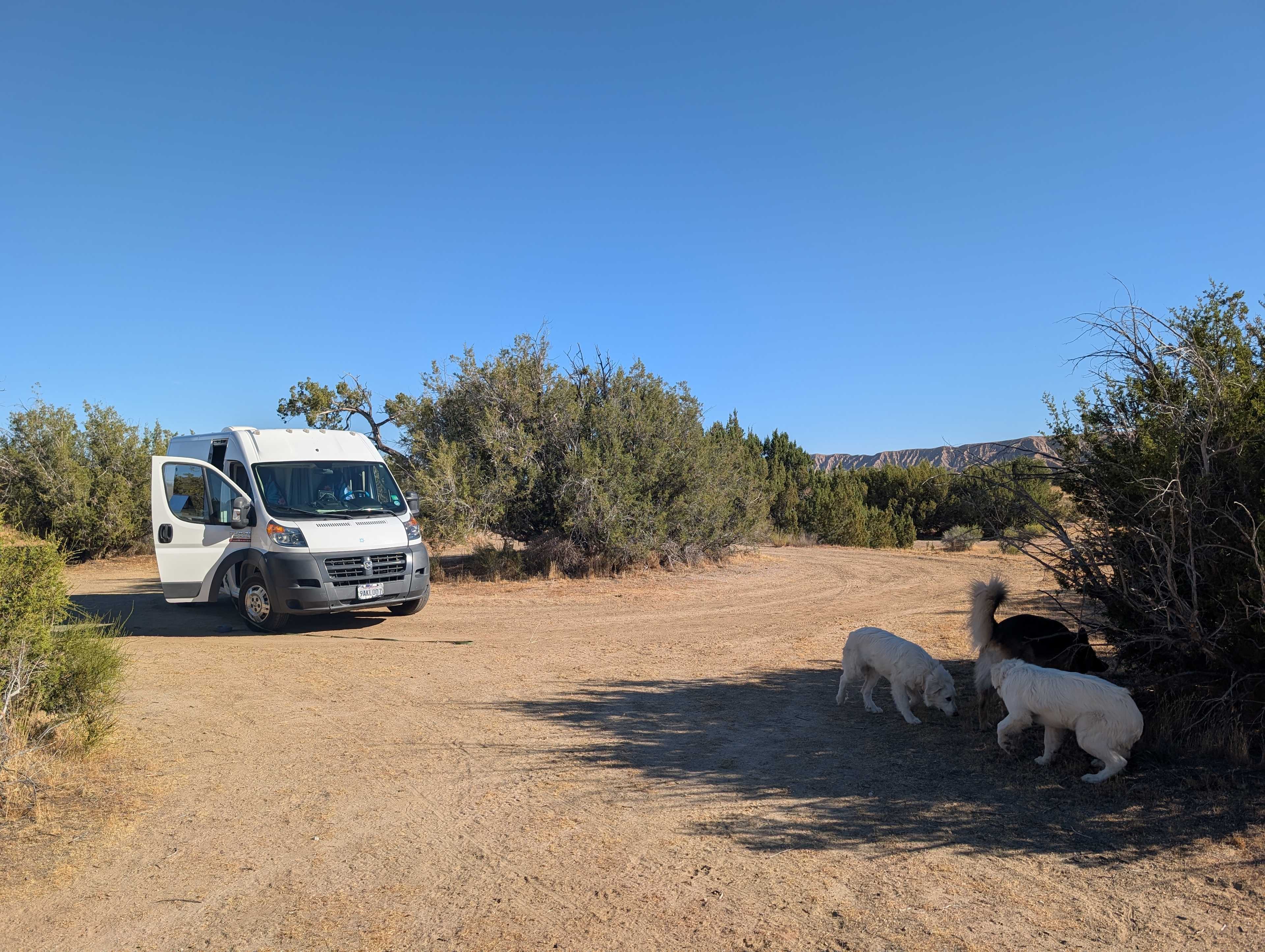 Campsite 1