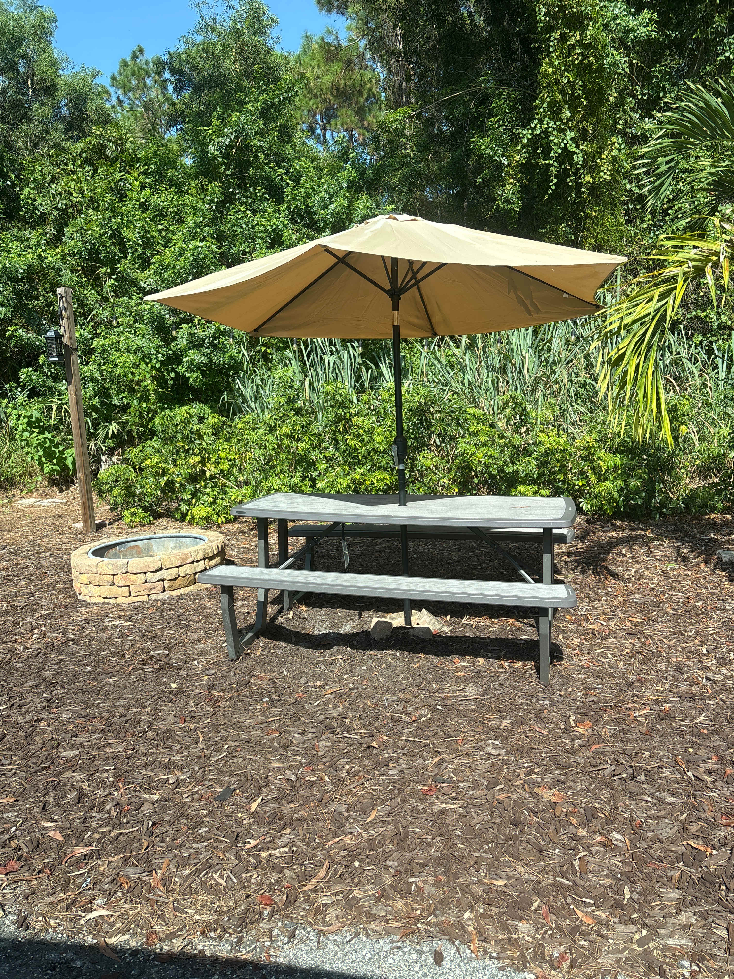 Picnic table and fire ring!