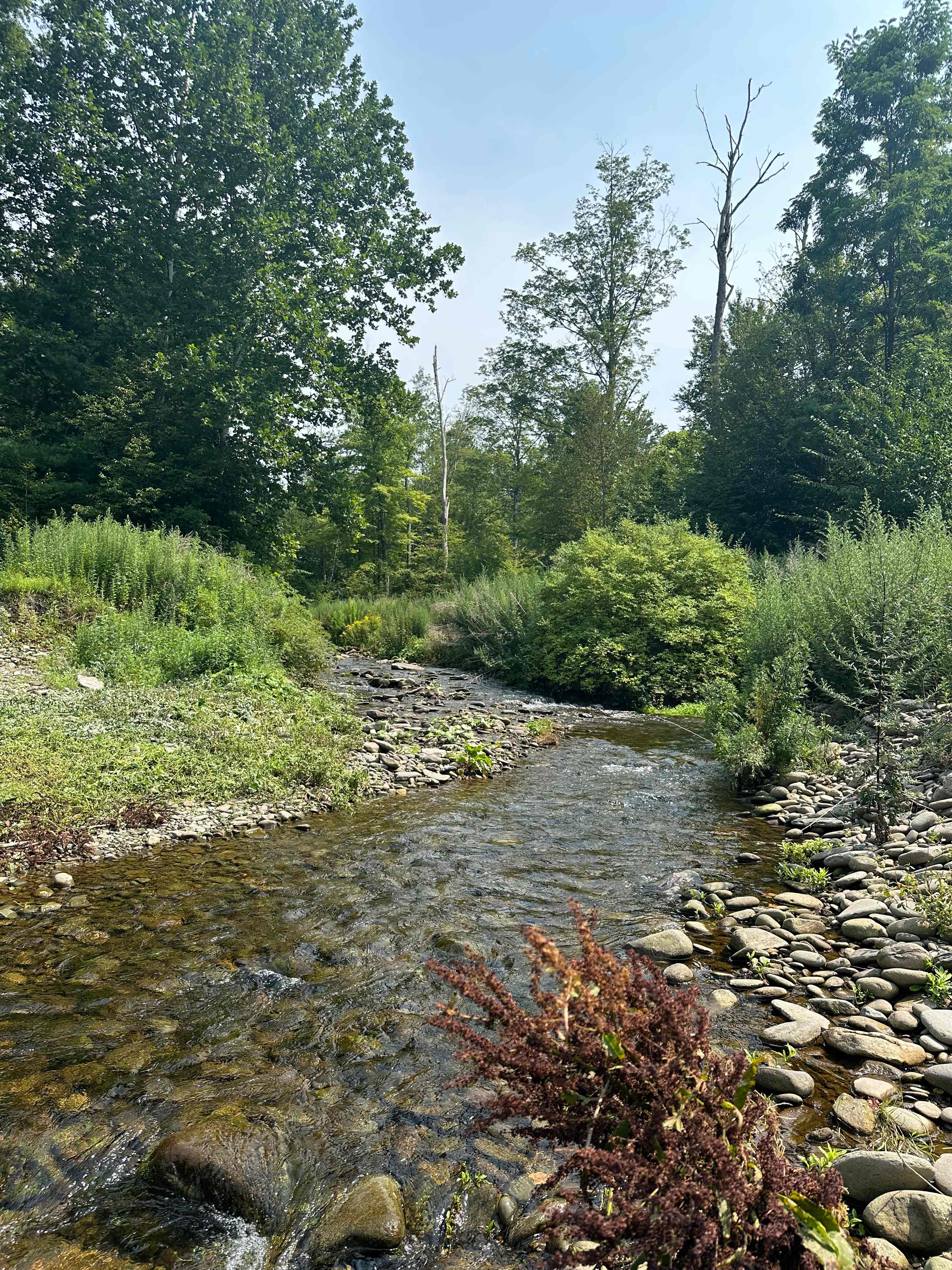 Big Indian Wilderness Paradise