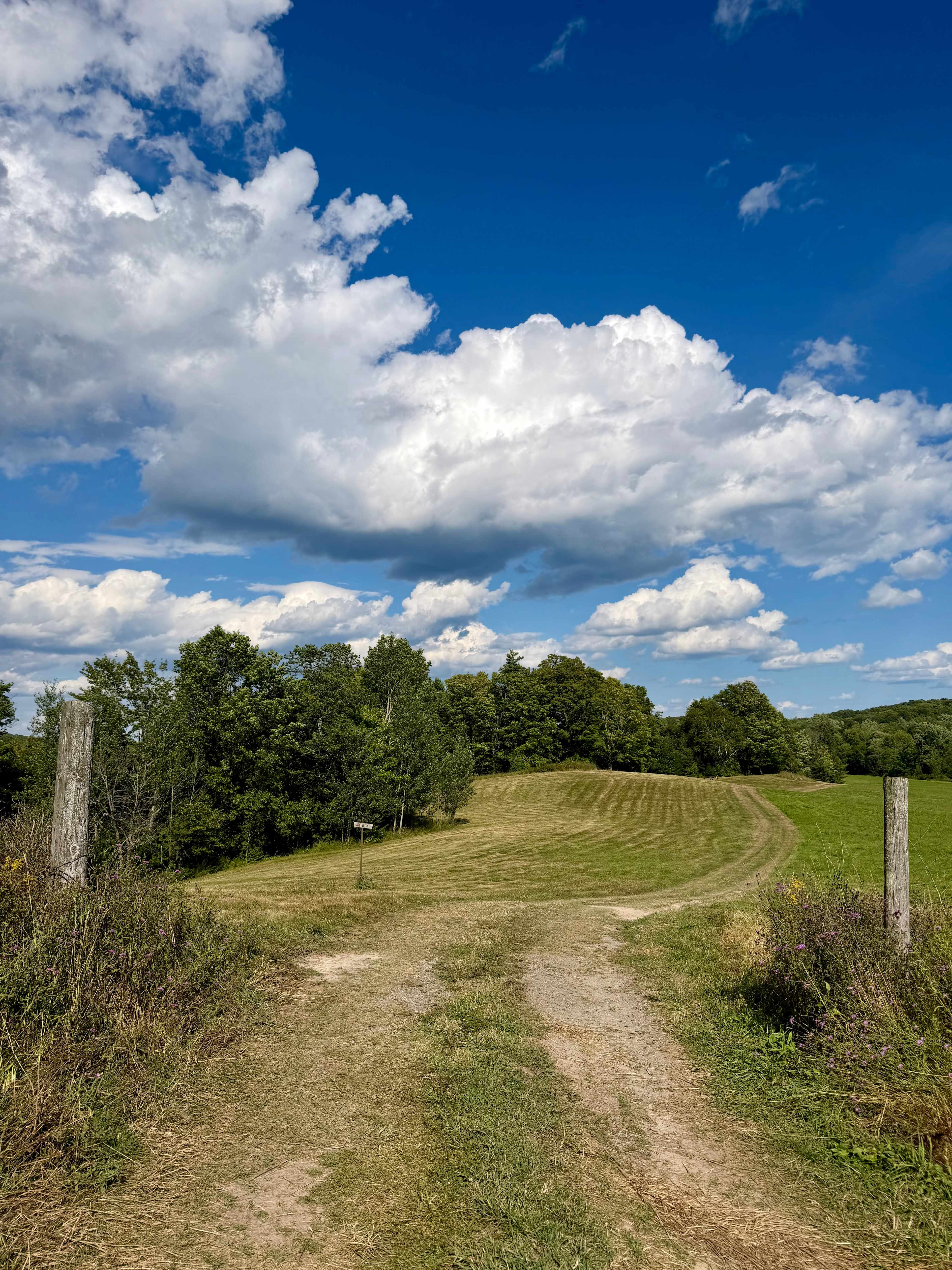 Coutts Farm