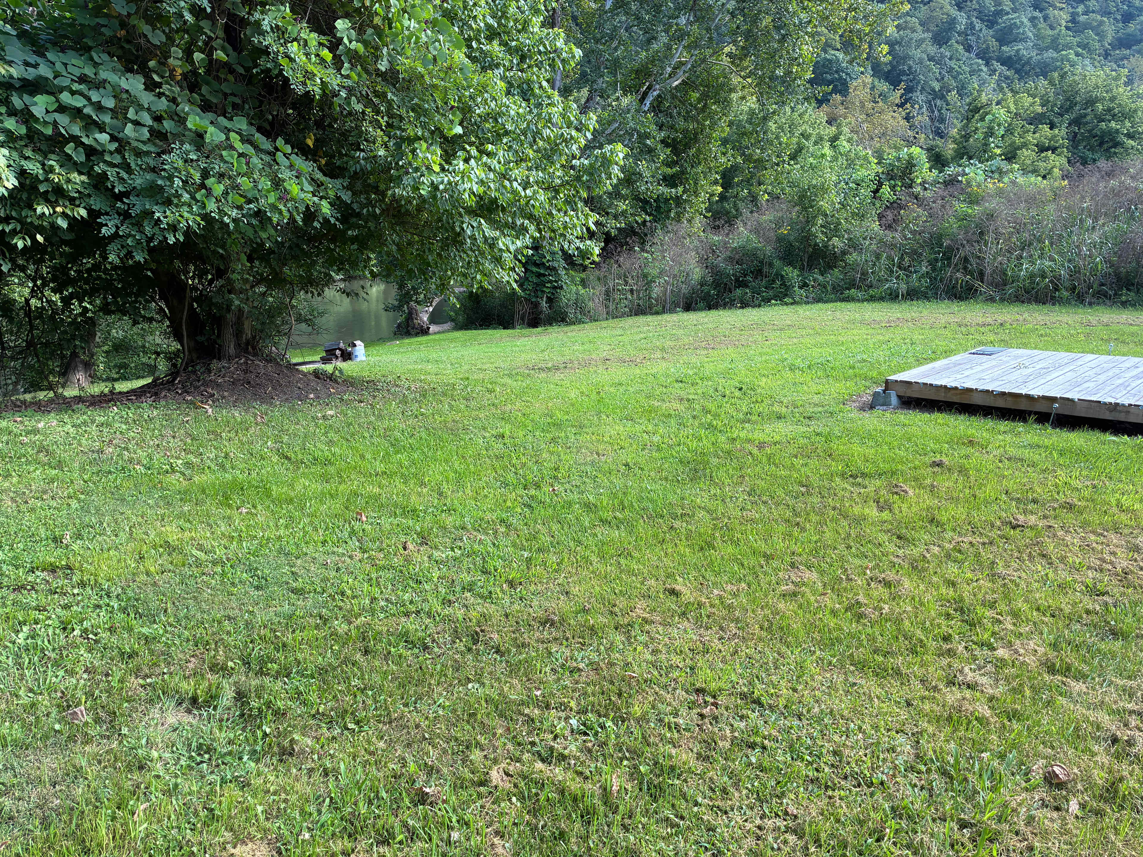 Clinch River Camping And Fishing