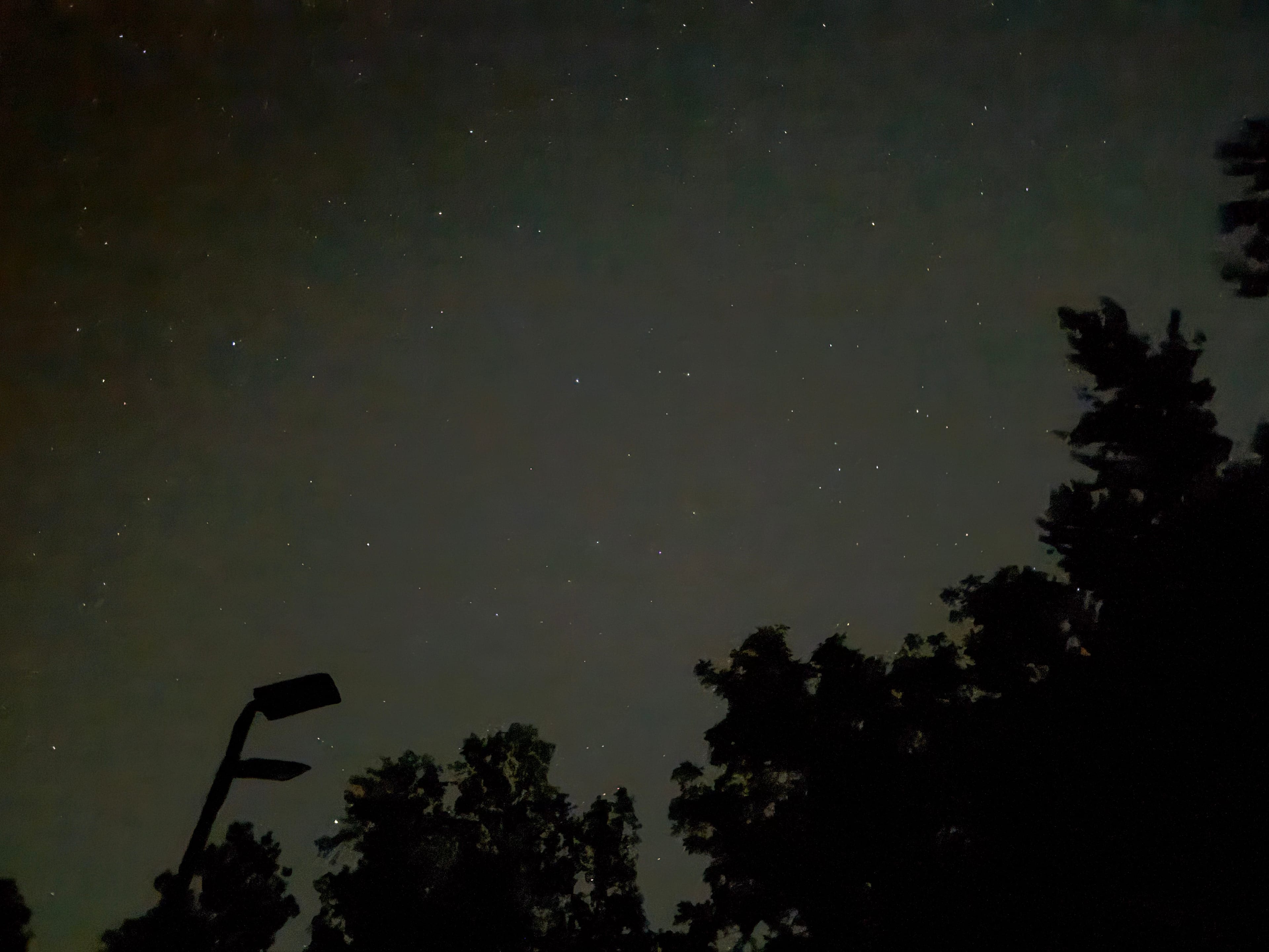 Kerr Lake Glamping at Holly Forest