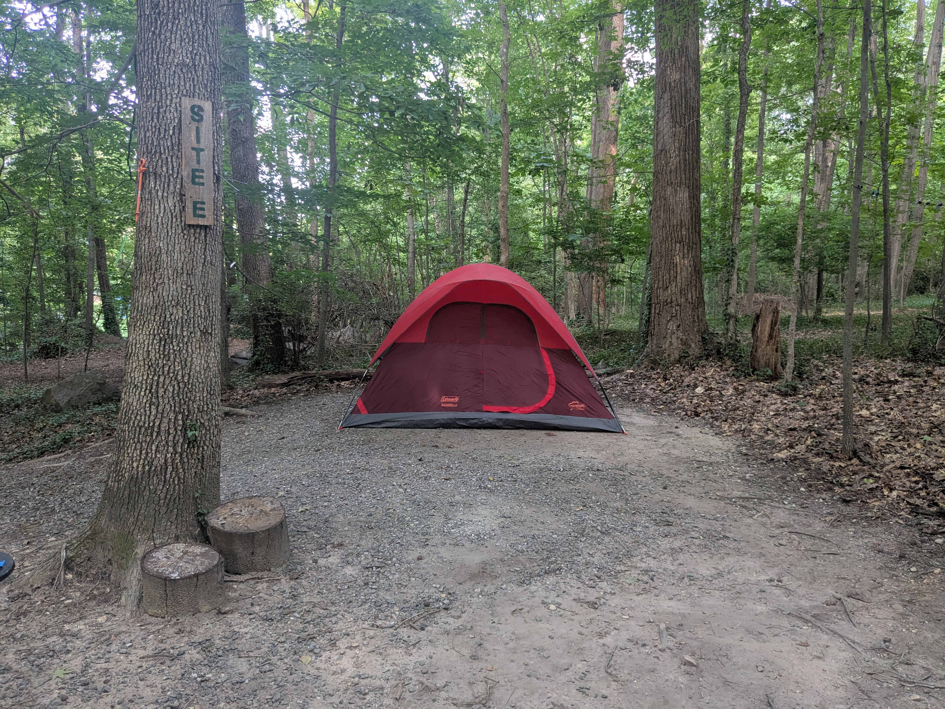 City Camp on Reedy Creek